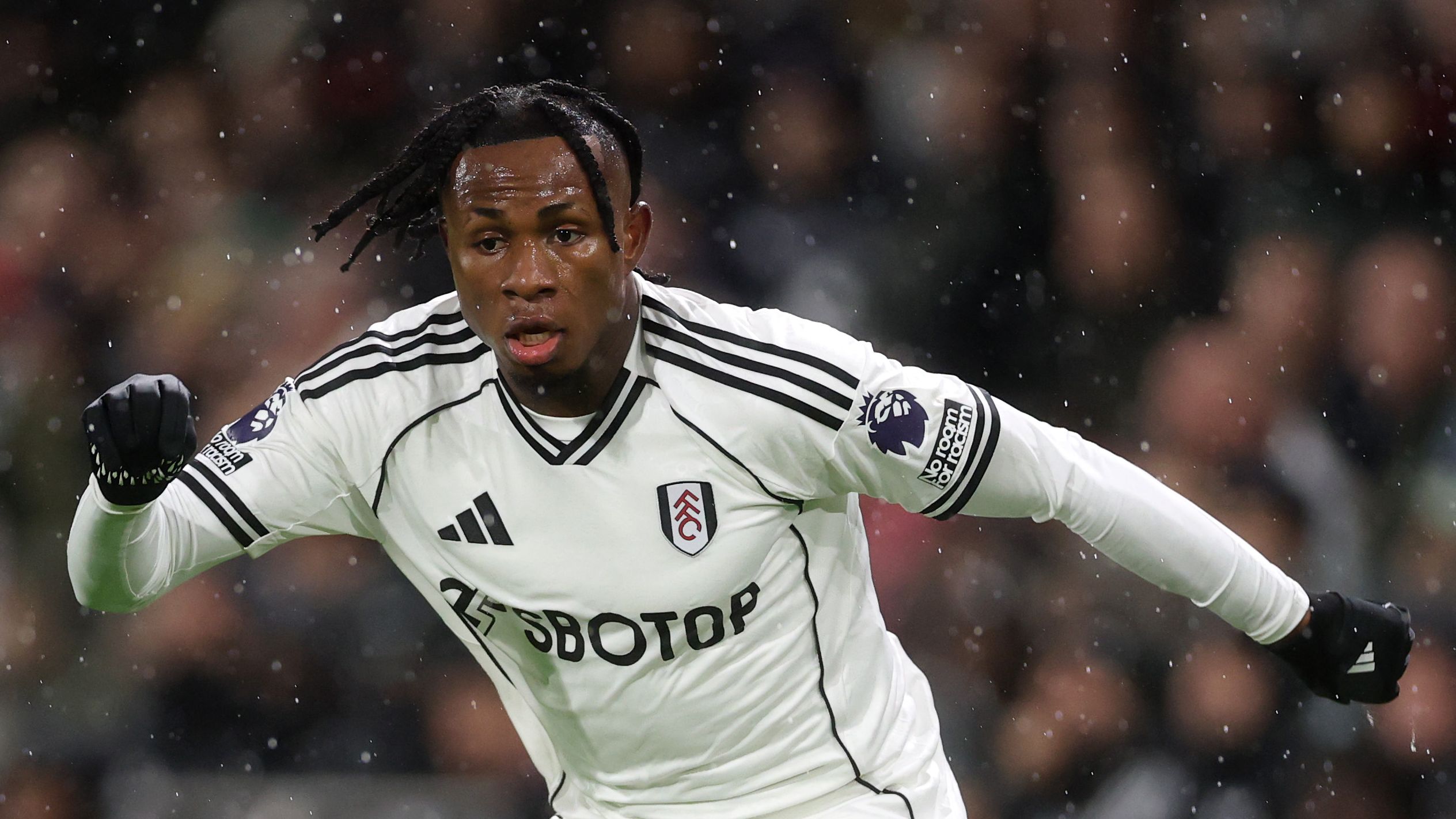 Fulham v Sunderland - Premier League