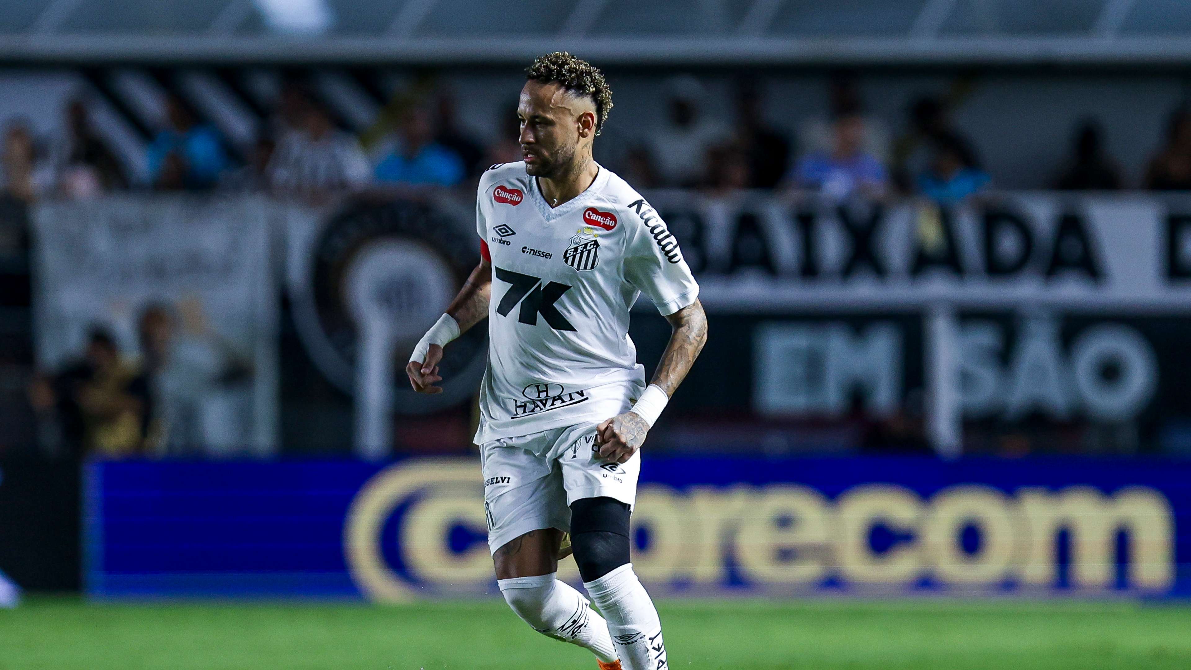 Santos v Sport Recife - Brasileirao 2025