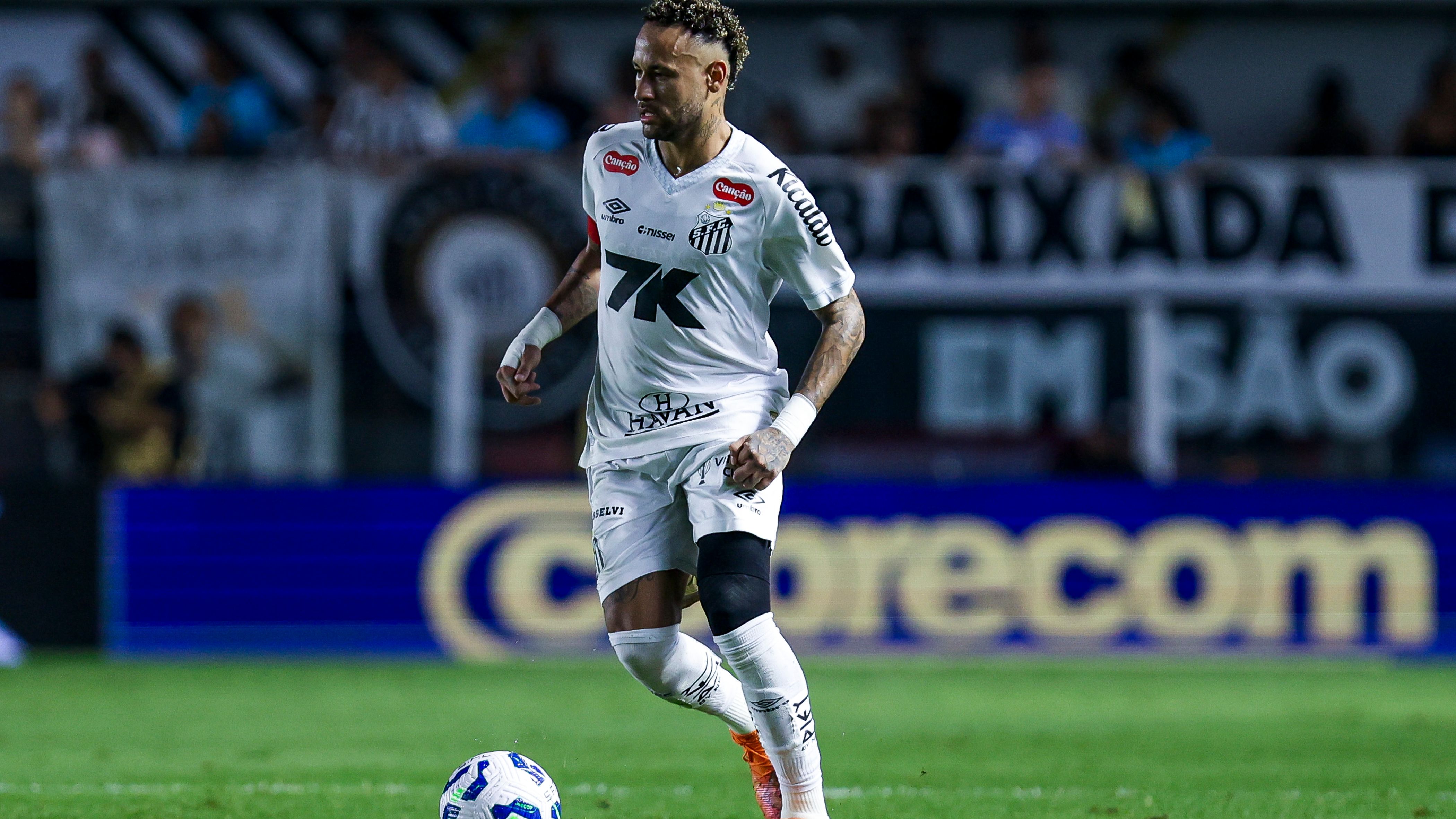 Santos v Sport Recife - Brasileirao 2025