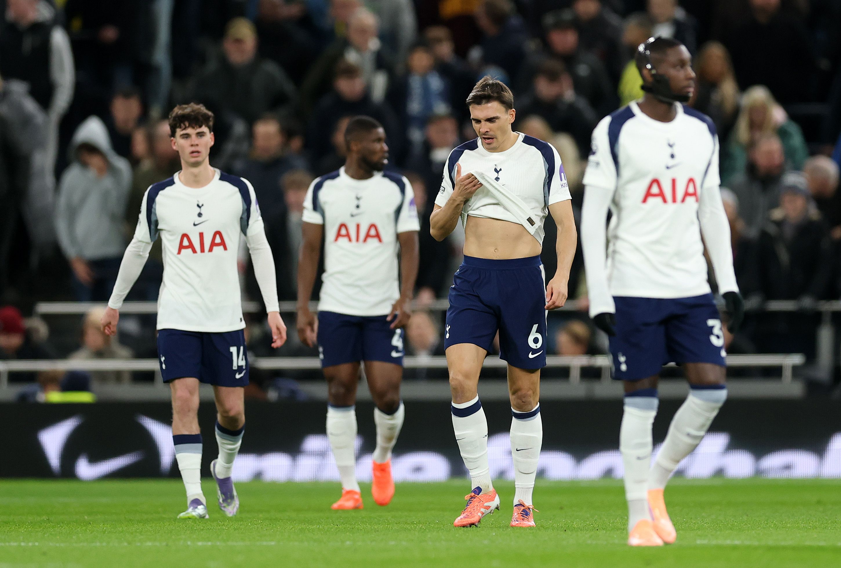 Tottenham Hotspur v Fulham - Premier League