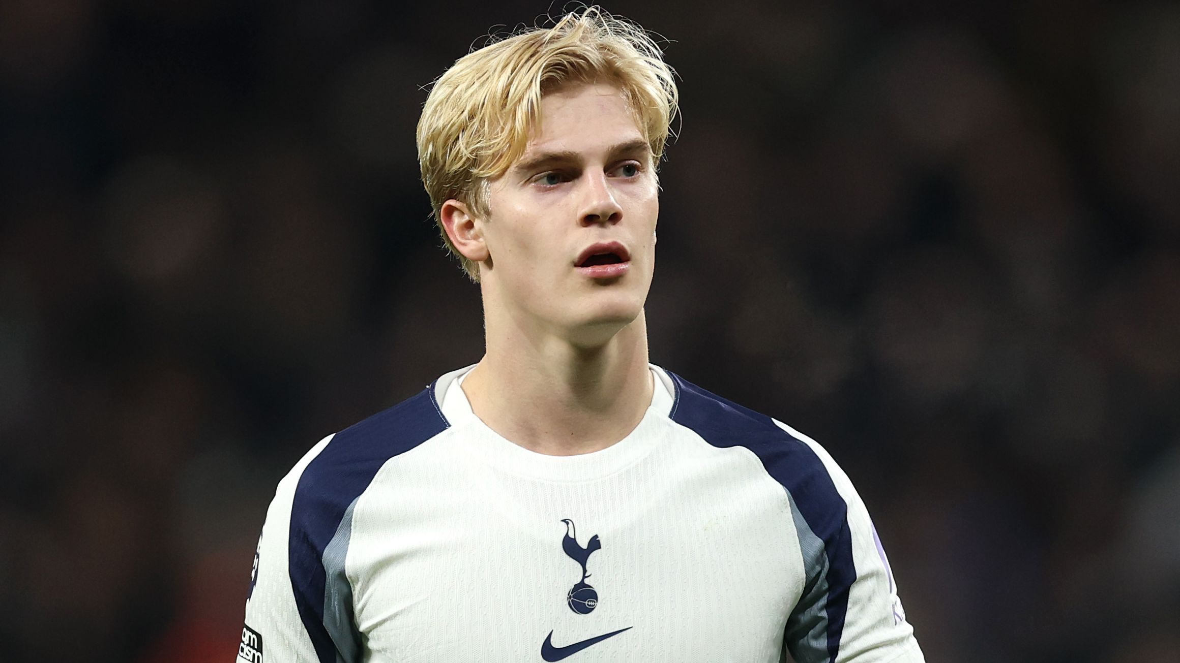 Tottenham Hotspur v Fulham - Premier League