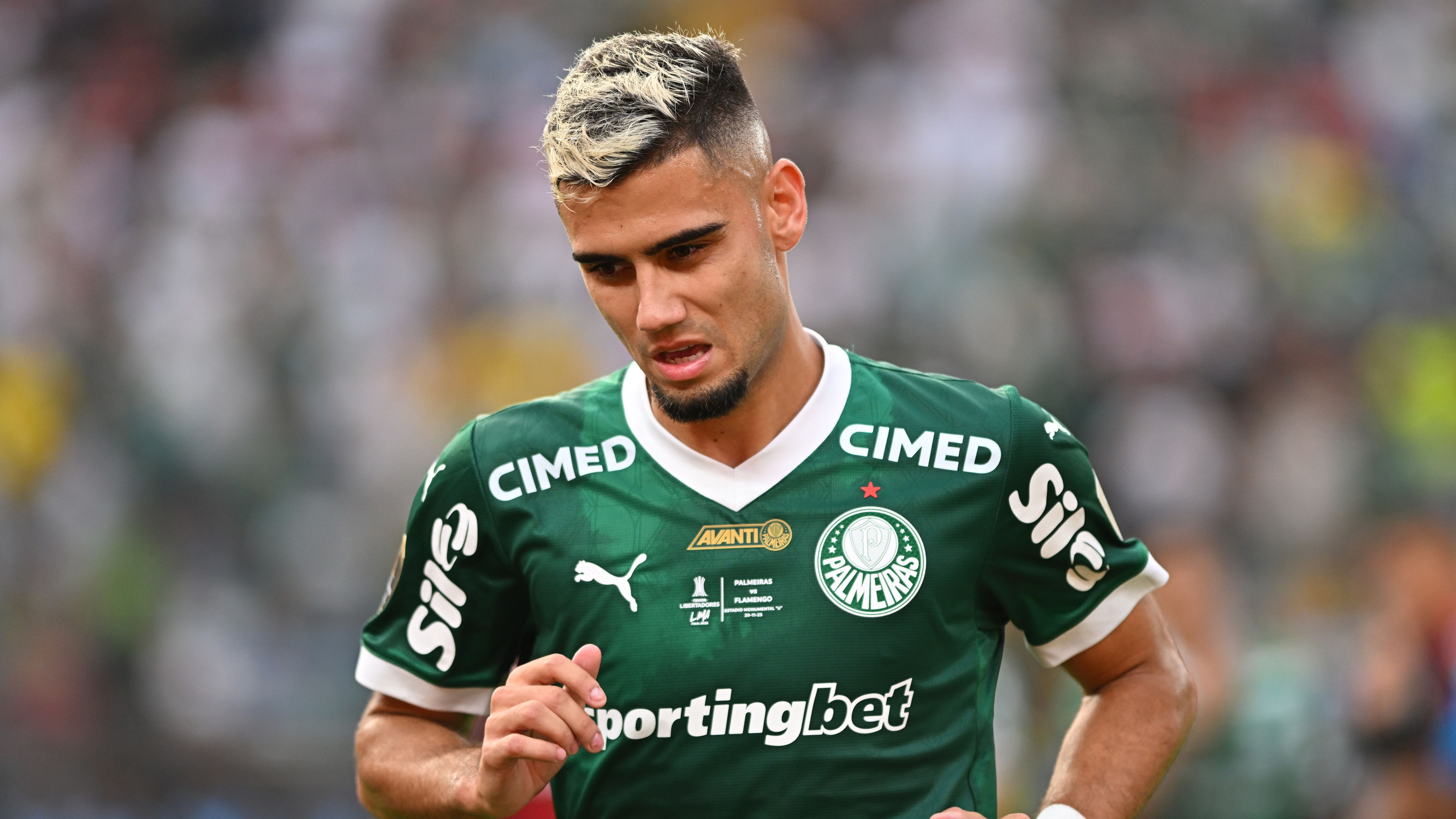 Palmeiras v Flamengo - Copa CONMEBOL Libertadores 2025 Final