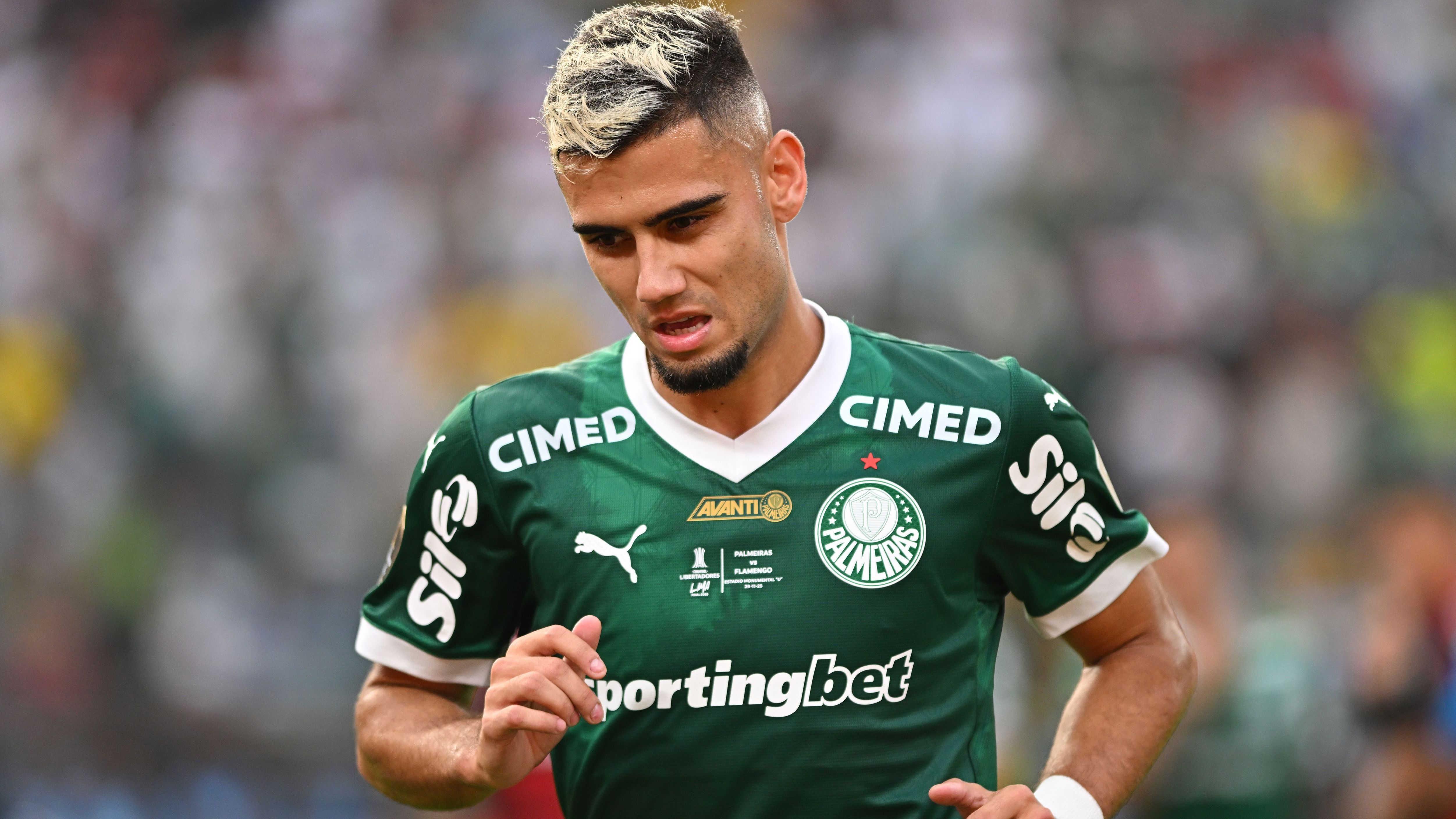 Palmeiras v Flamengo - Copa CONMEBOL Libertadores 2025 Final