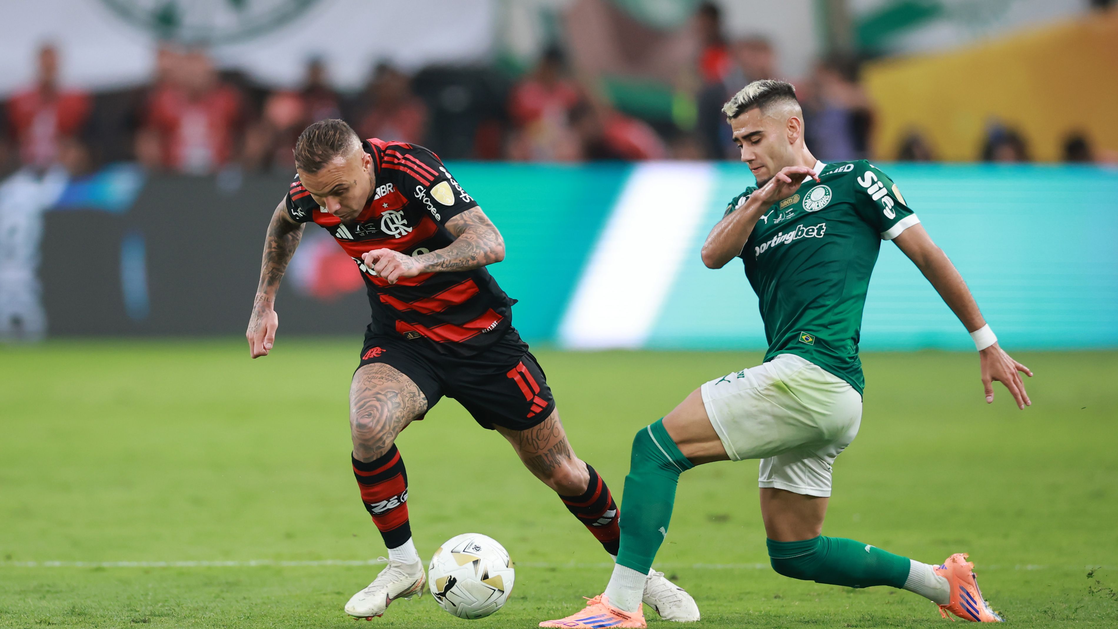 Palmeiras v Flamengo - Copa CONMEBOL Libertadores 2025 Final