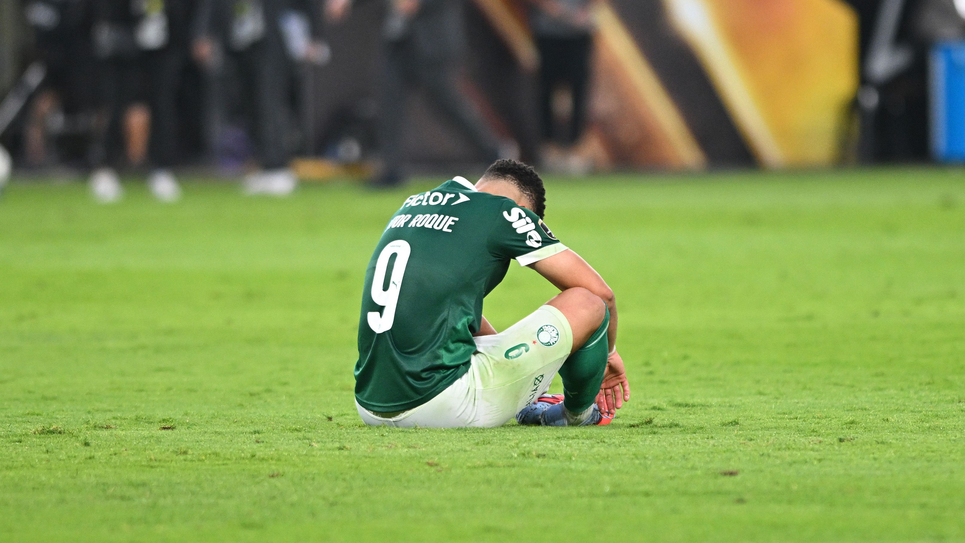 Palmeiras v Flamengo - Copa CONMEBOL Libertadores 2025 Final