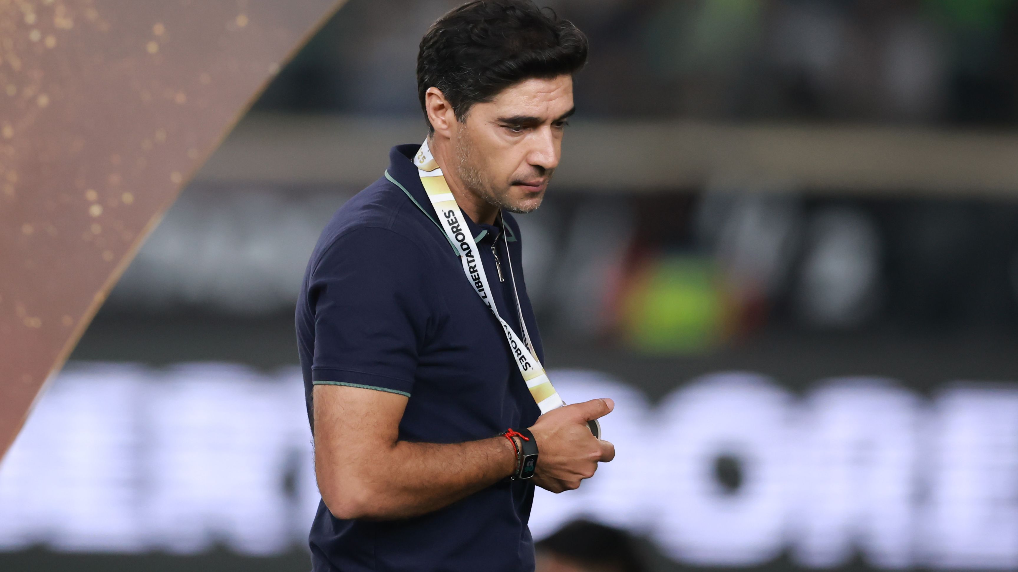 Palmeiras v Flamengo - Copa CONMEBOL Libertadores 2025 Final