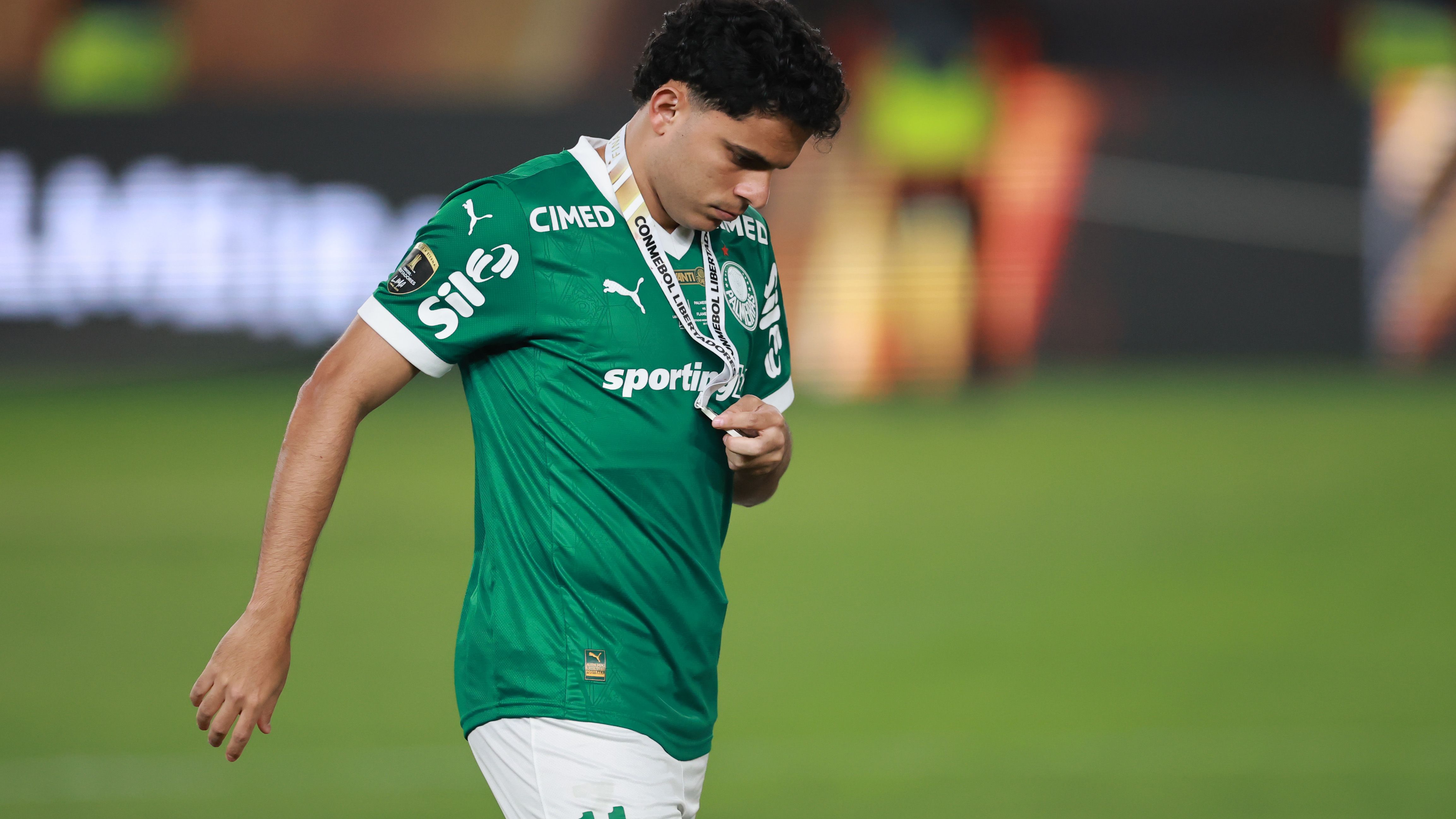 Palmeiras v Flamengo - Copa CONMEBOL Libertadores 2025 Final