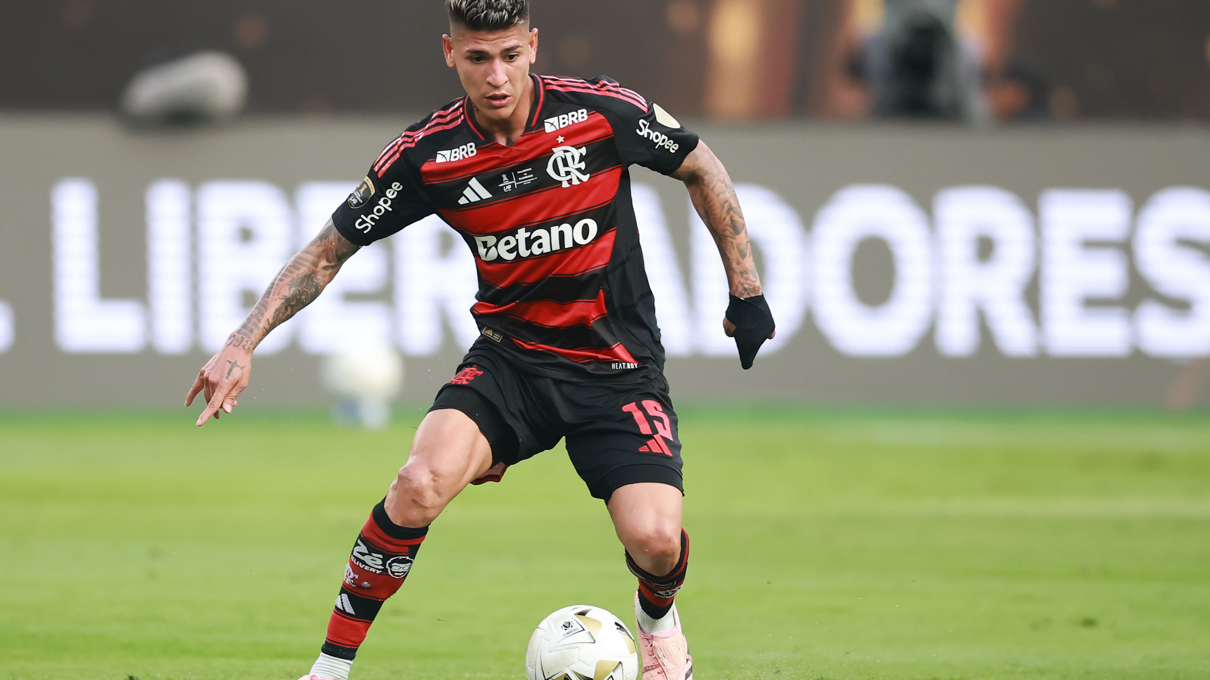 Palmeiras v Flamengo - Final Copa CONMEBOL Libertadores 2025