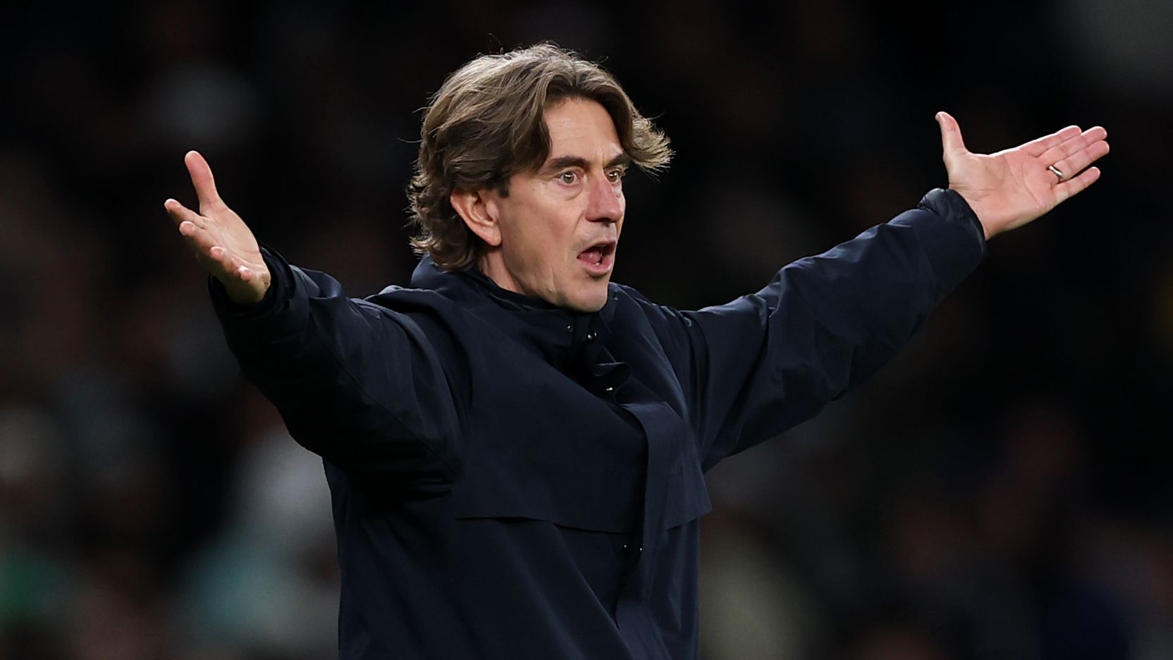 Tottenham Hotspur v Fulham - Premier League