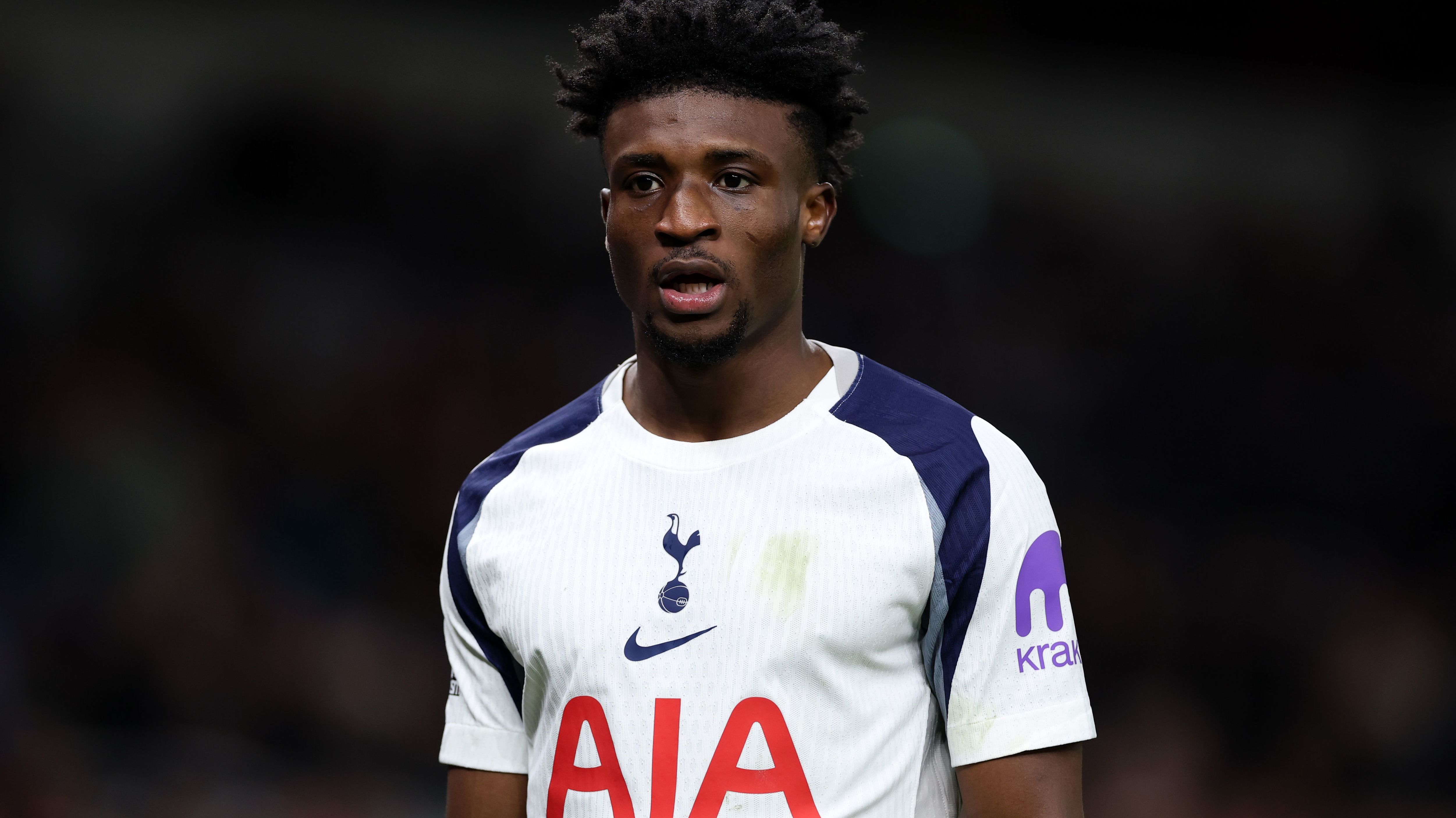 Tottenham Hotspur v Fulham - Premier League