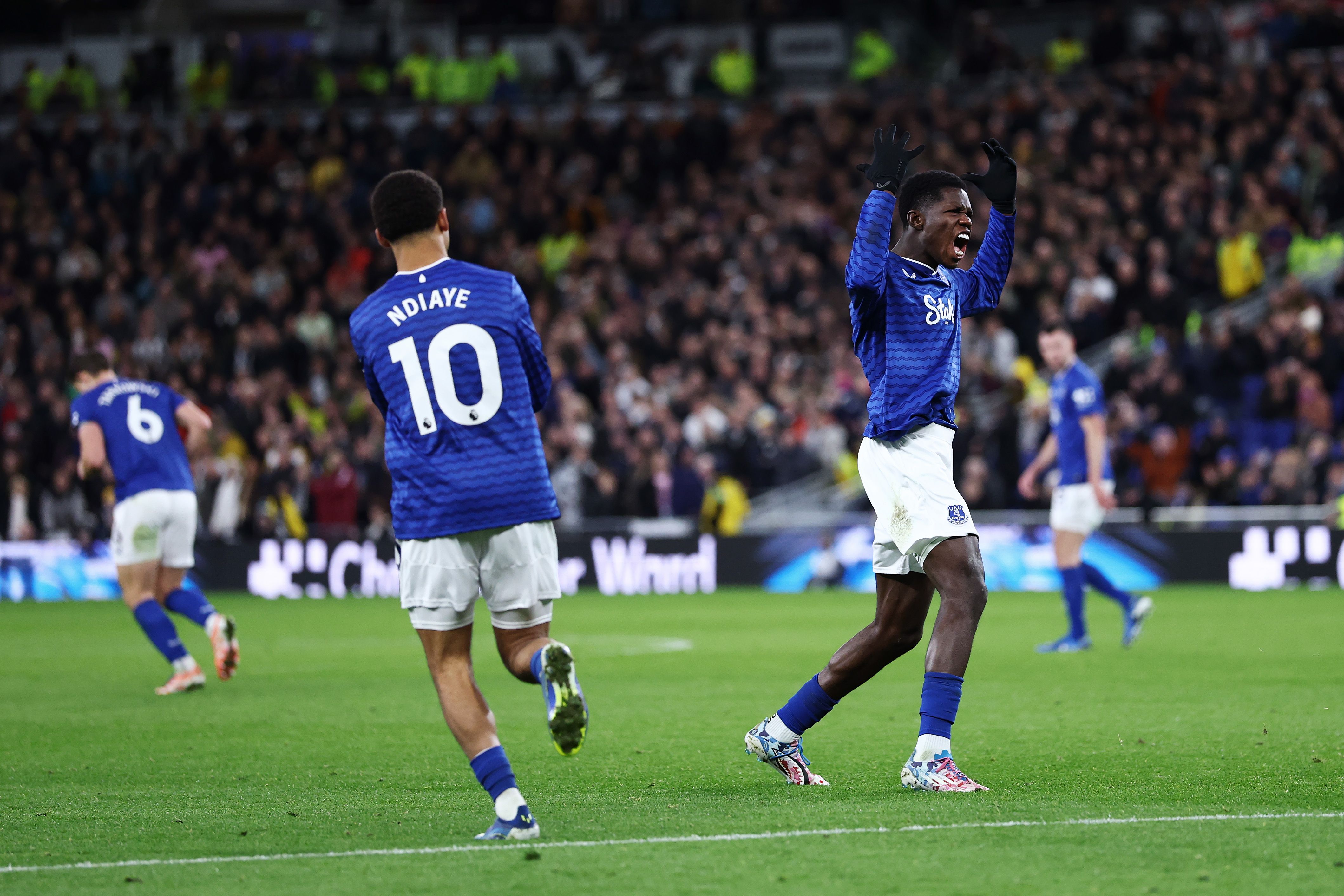 Everton v Newcastle United - Premier League