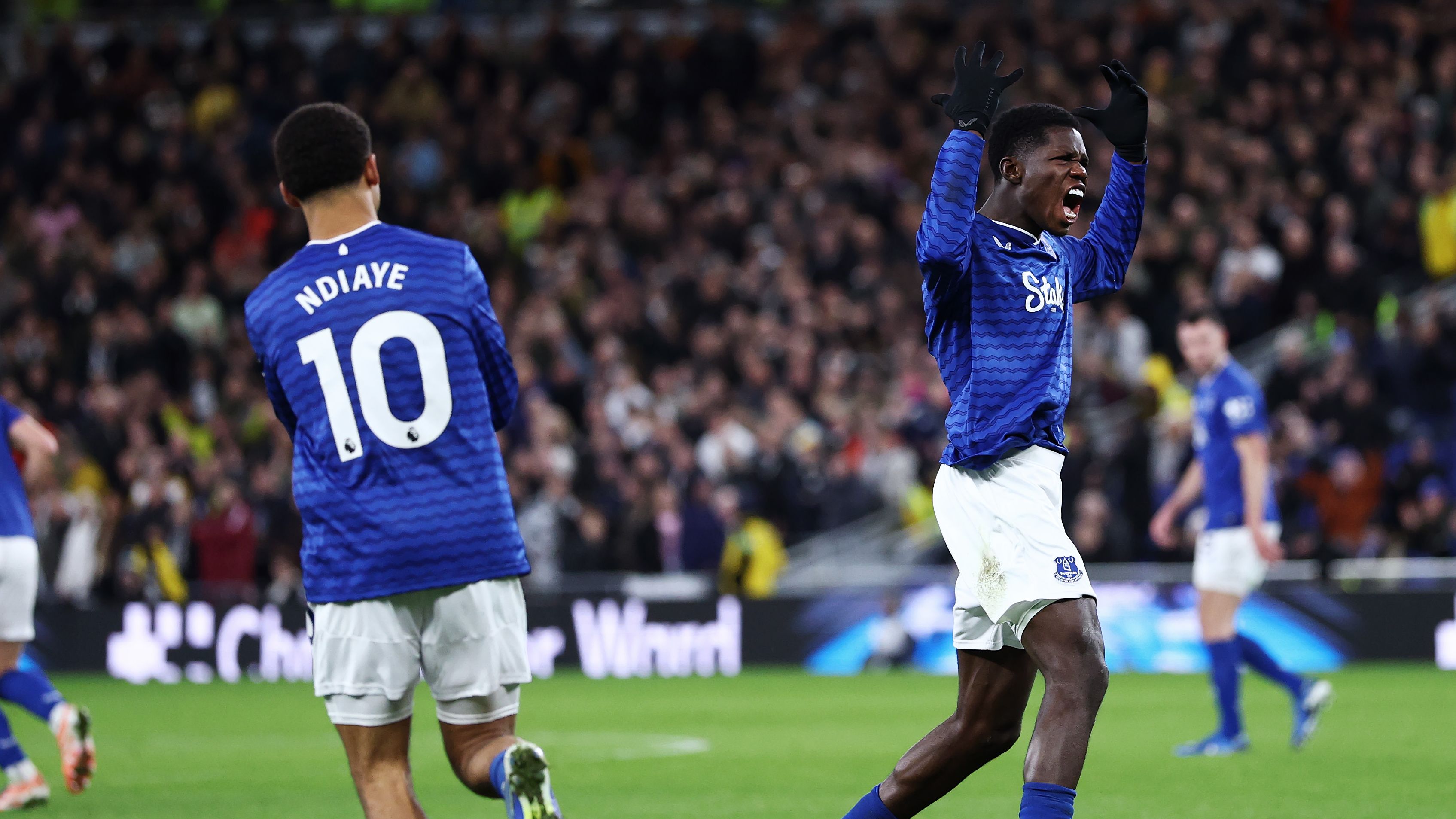 Everton v Newcastle United - Premier League