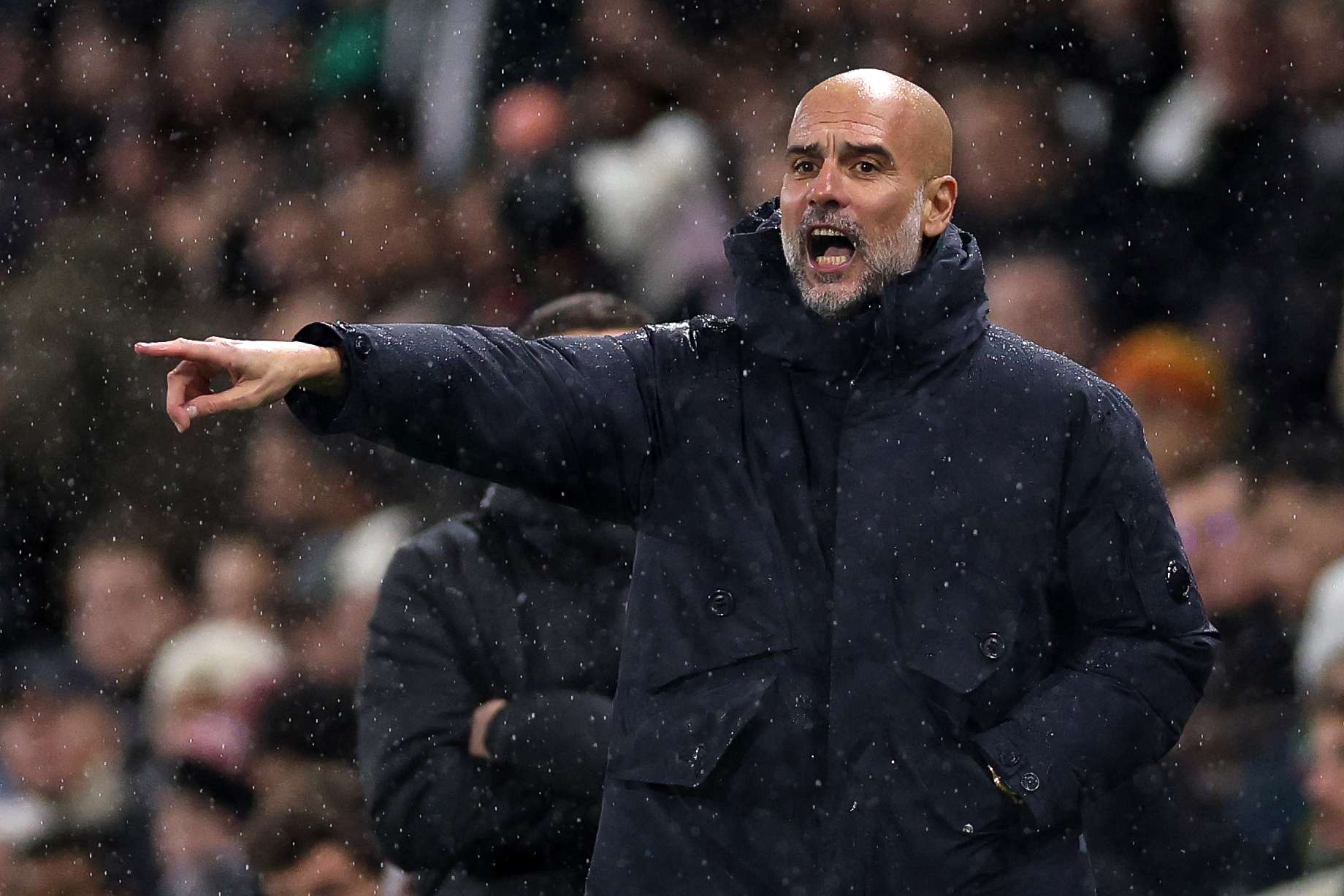 Fulham v Manchester City - Premier League