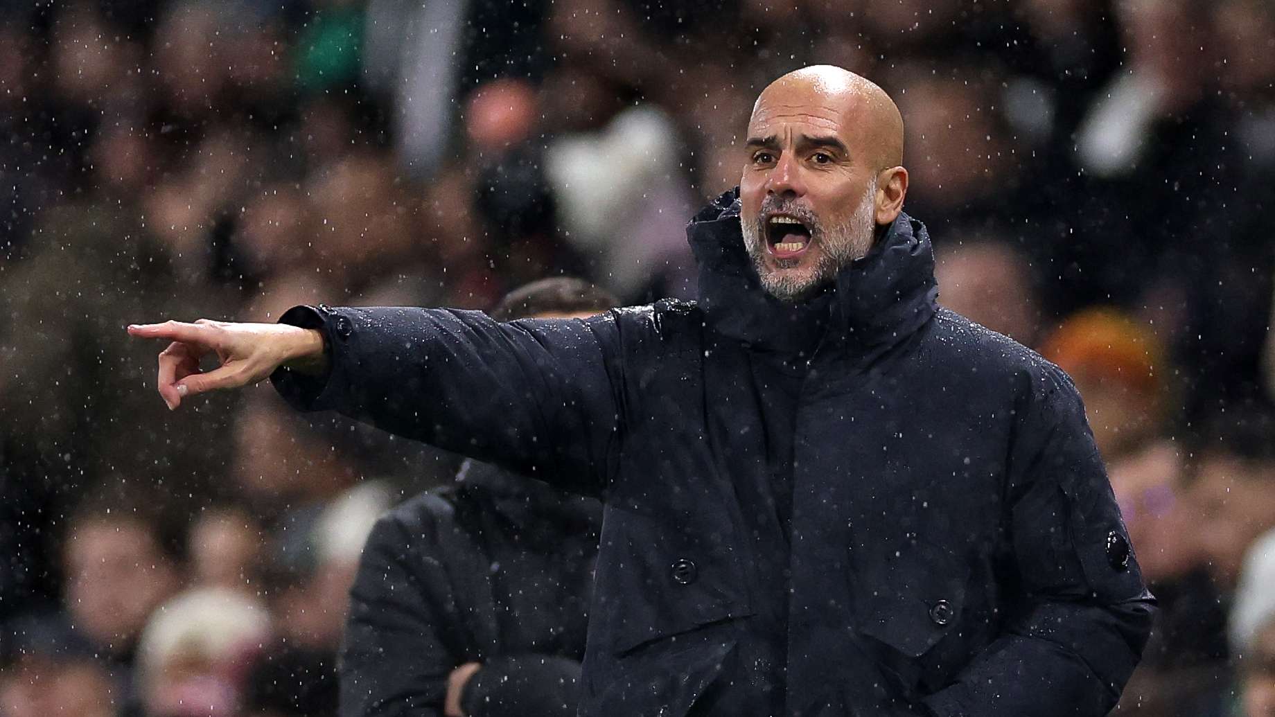 Fulham v Manchester City - Premier League