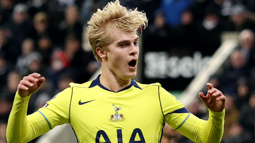 Newcastle United v Tottenham Hotspur - Premier League