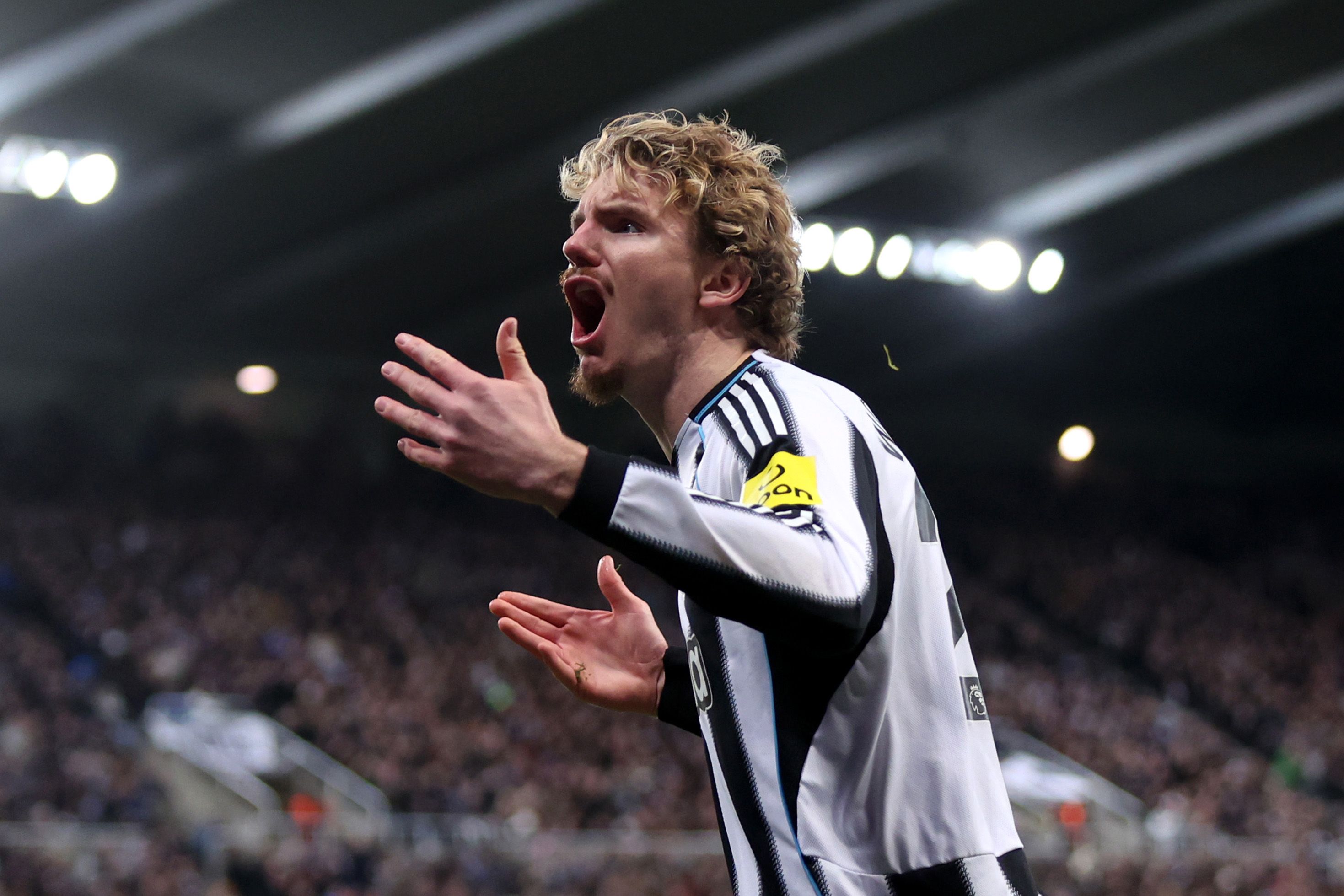 Newcastle United v Tottenham Hotspur - Premier League