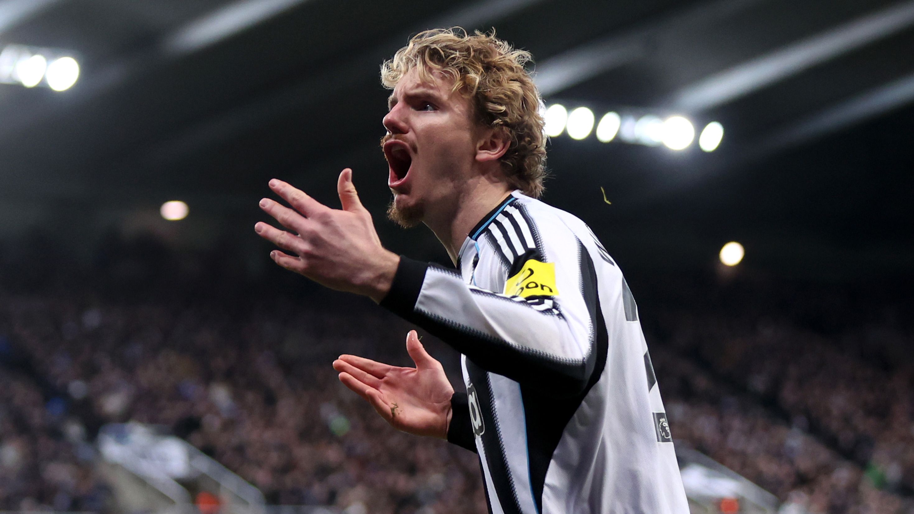 Newcastle United v Tottenham Hotspur - Premier League