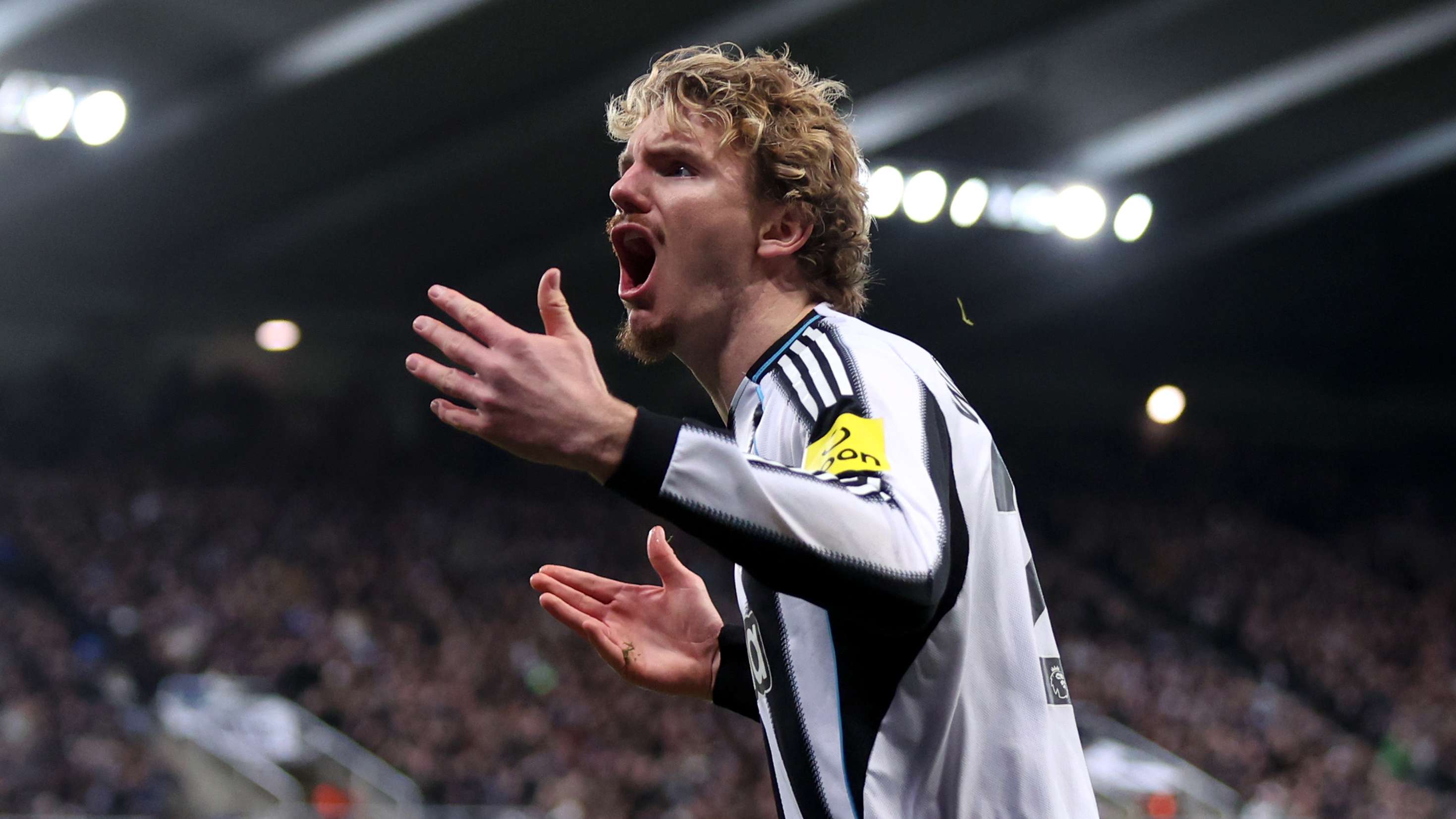 Newcastle United v Tottenham Hotspur - Premier League