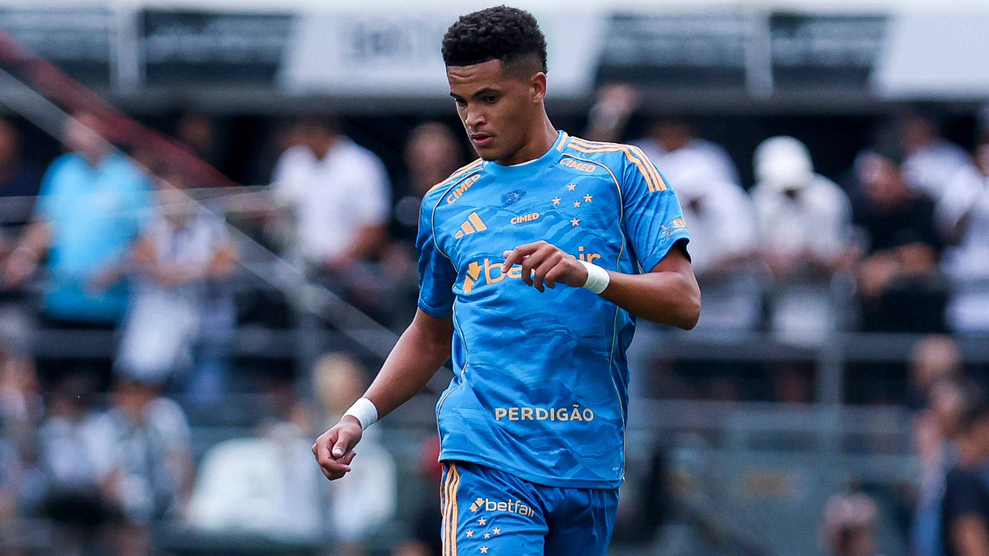 Santos v Cruzeiro - Brasileirao 2025