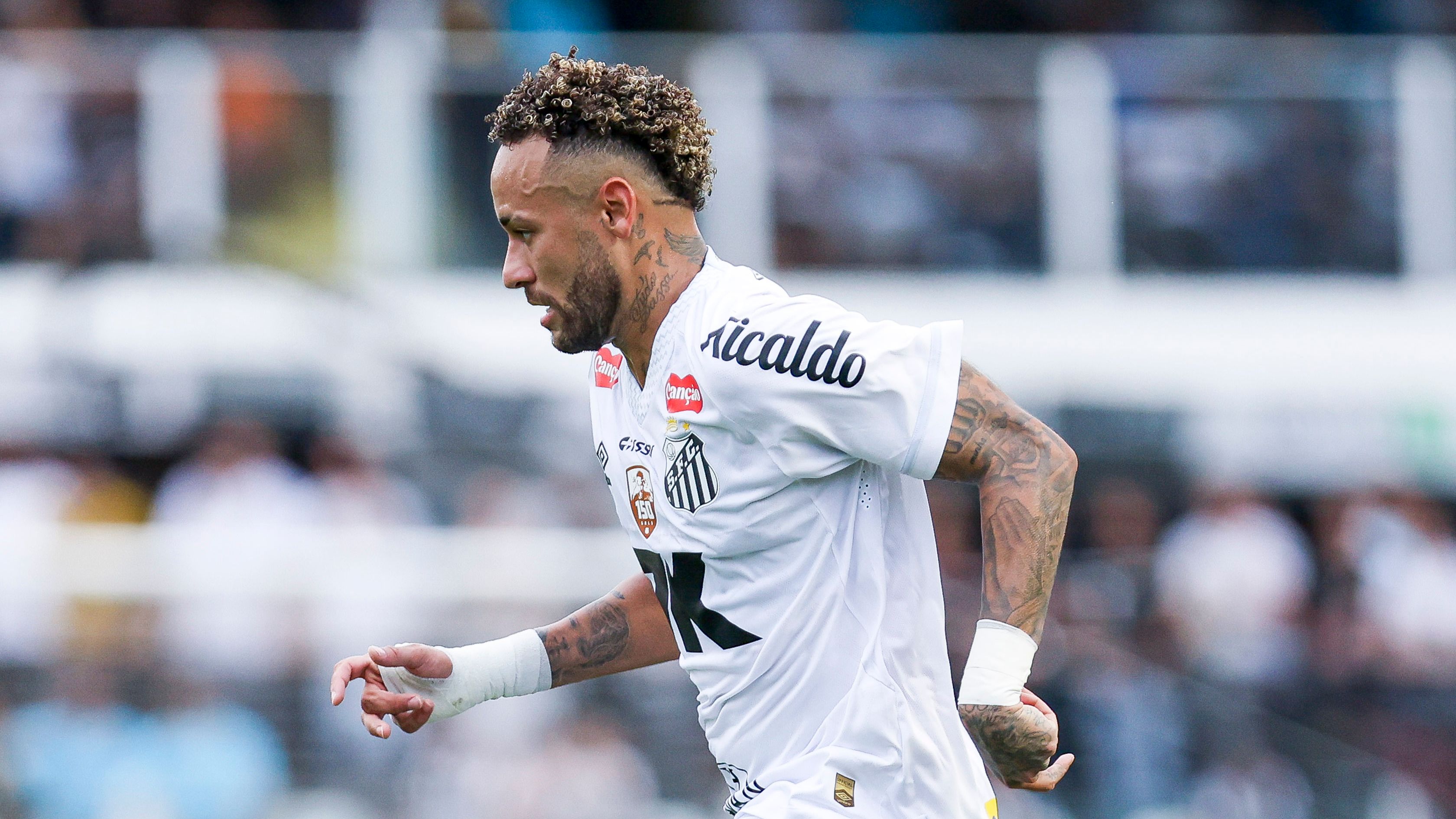 Santos v Cruzeiro - Brasileirao 2025