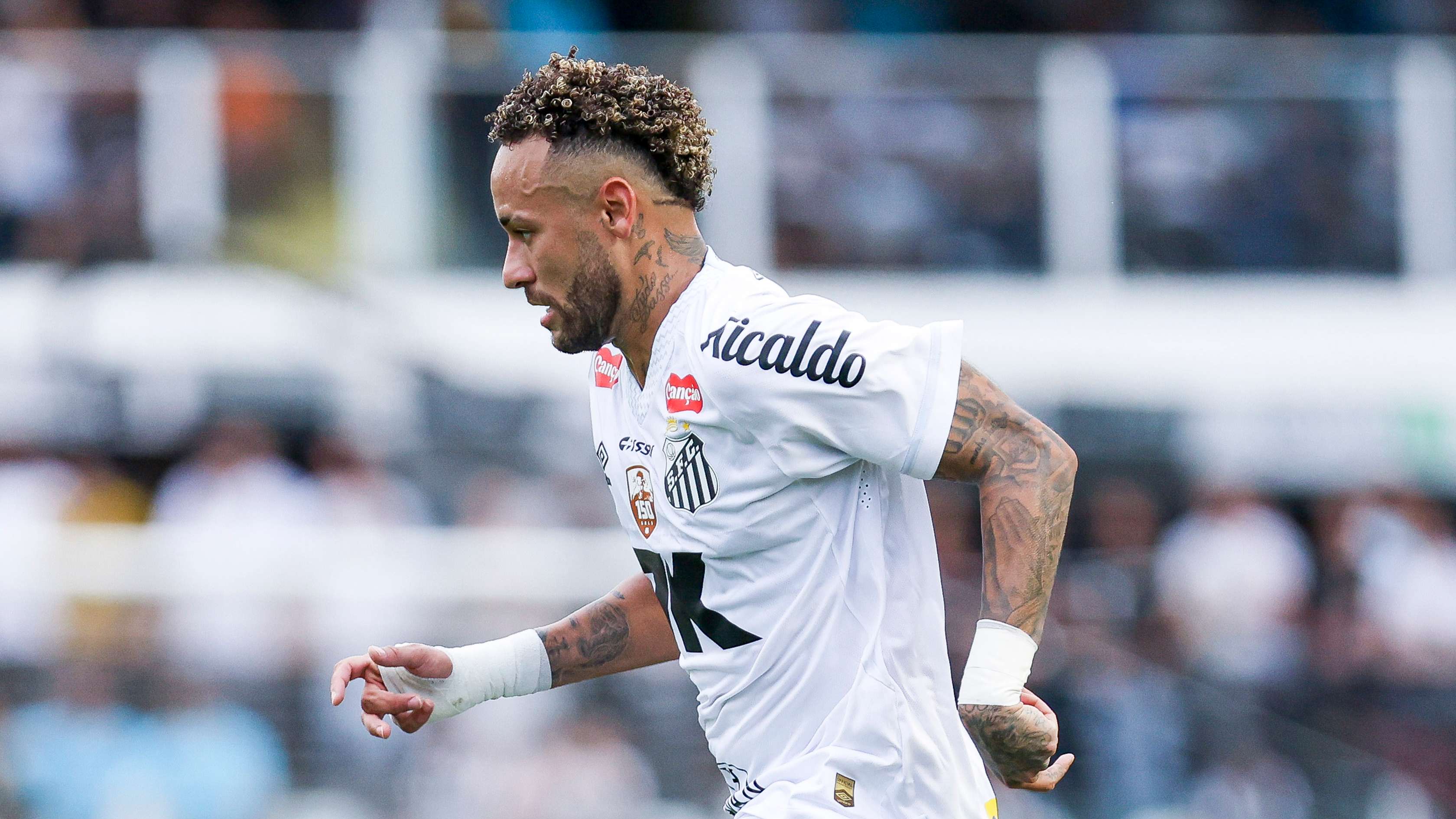 Santos v Cruzeiro - Brasileirao 2025