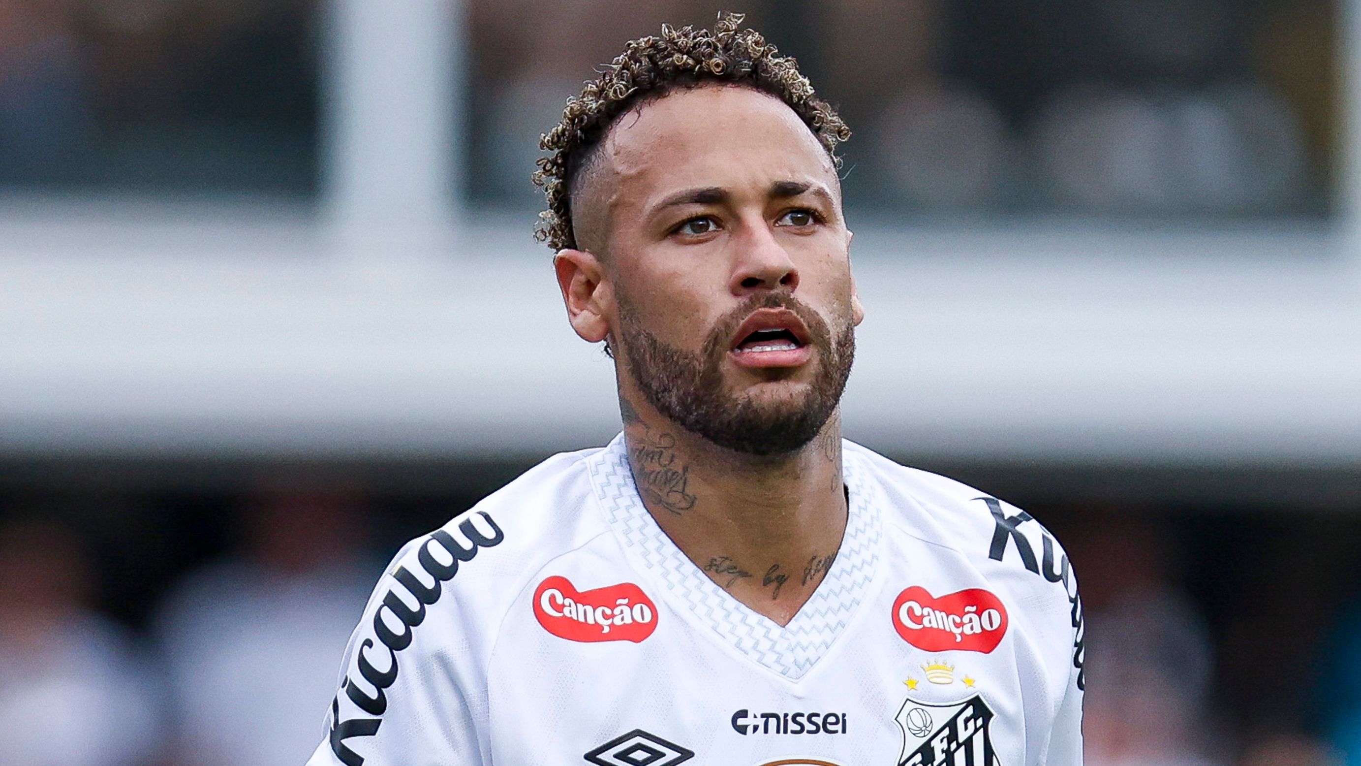 Santos v Cruzeiro - Brasileirao 2025