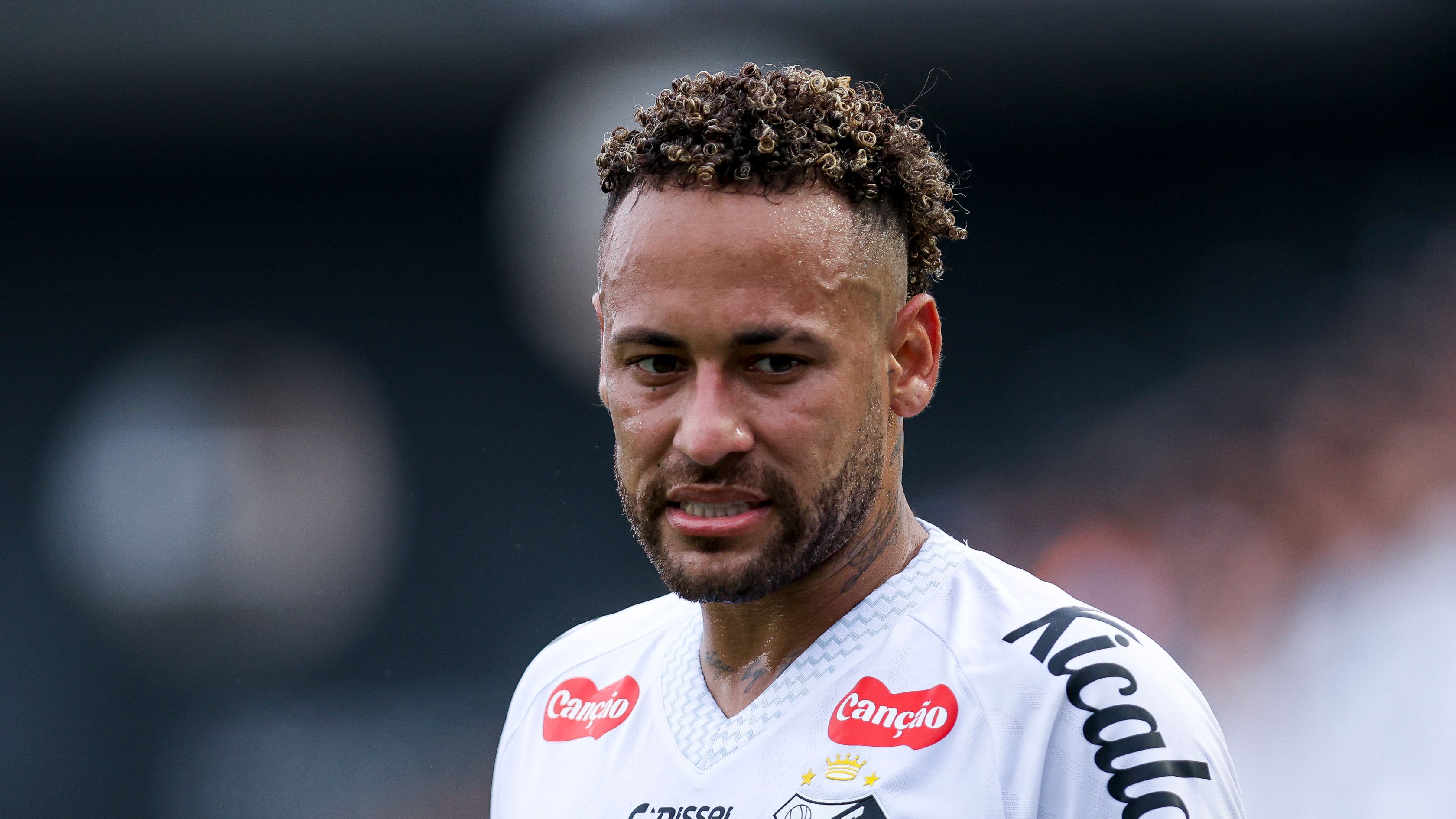 Santos v Cruzeiro - Brasileirao 2025