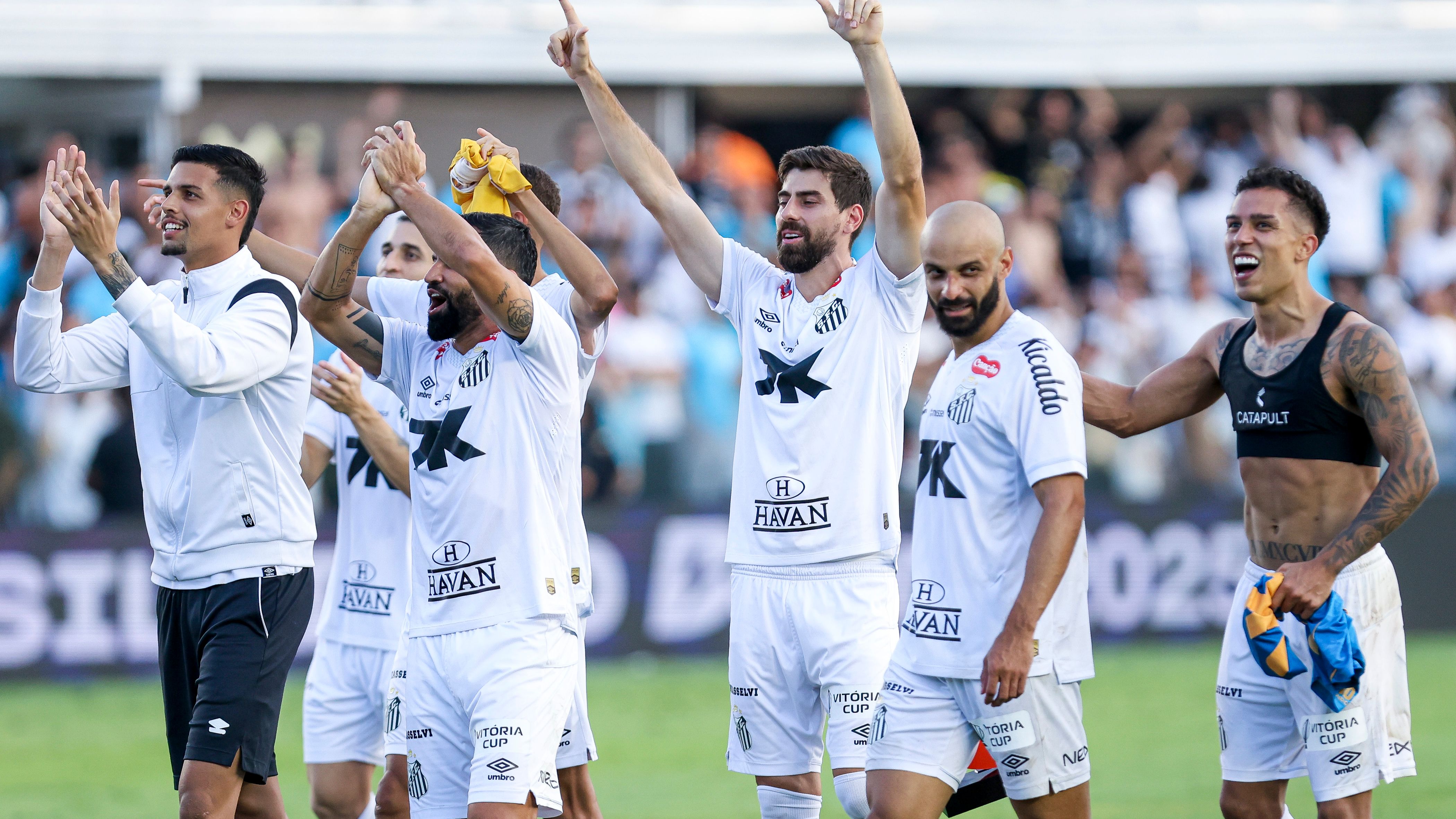 Santos v Cruzeiro - Brasileirao 2025