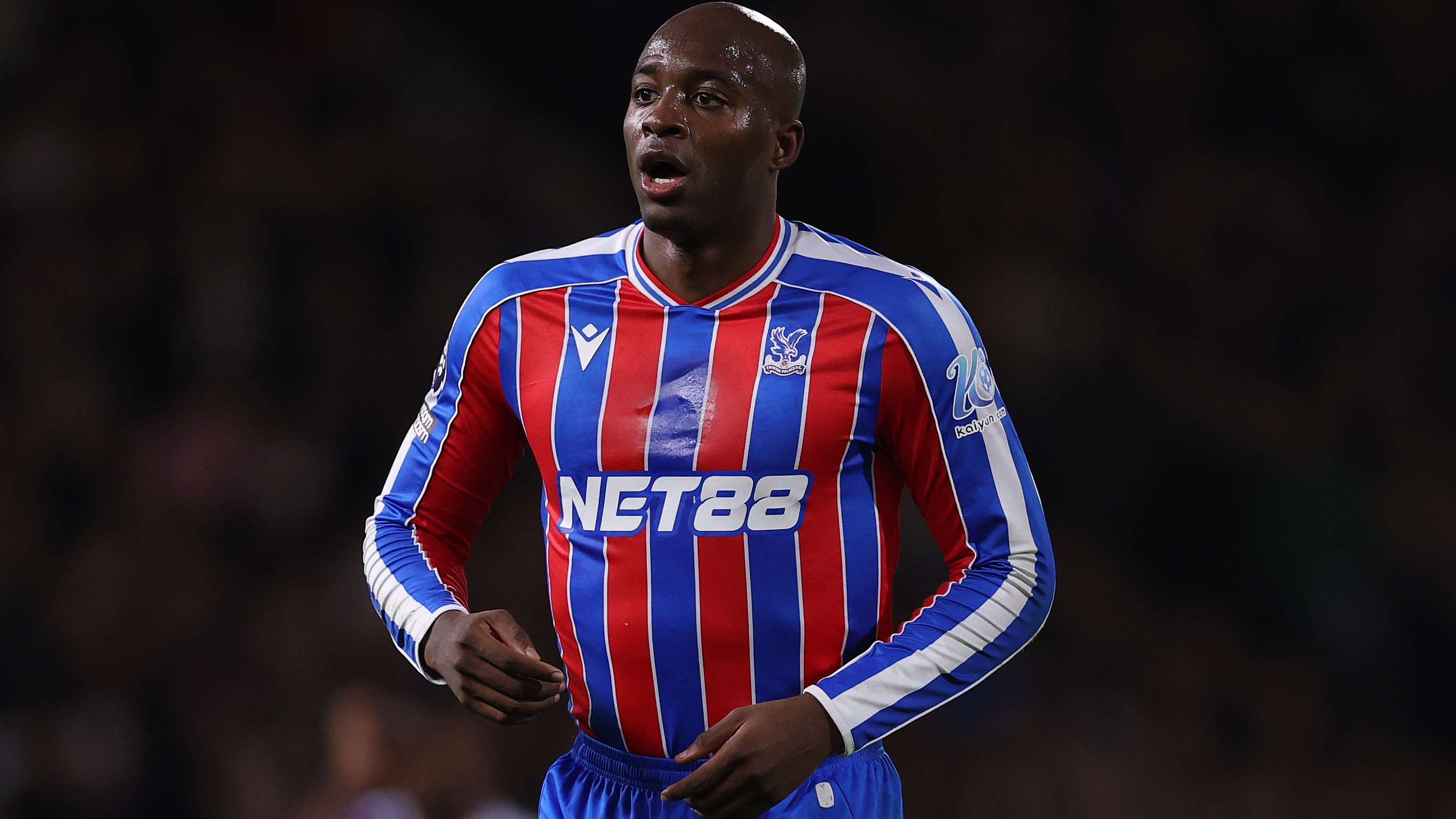 Fulham v Crystal Palace - Premier League