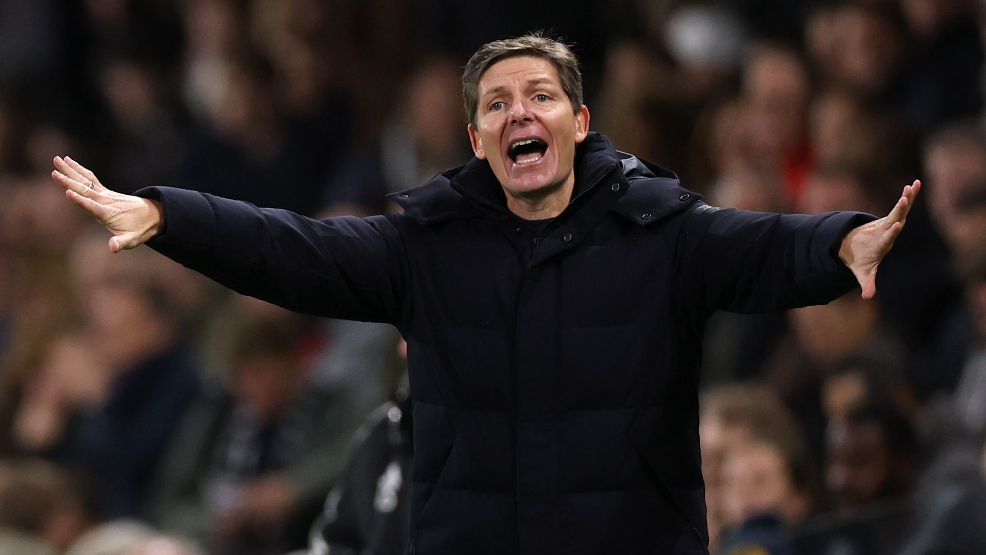 Fulham v Crystal Palace - Premier League