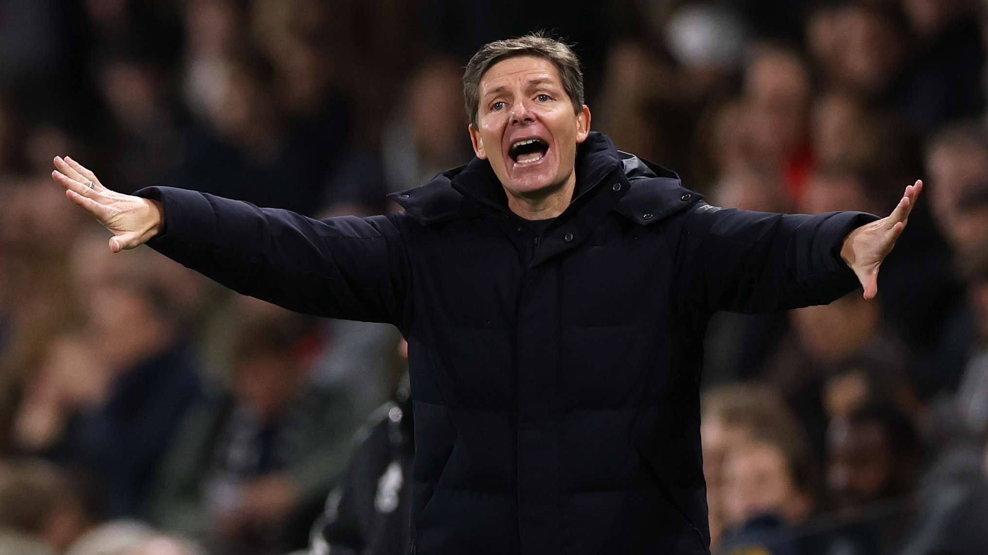 Fulham v Crystal Palace - Premier League