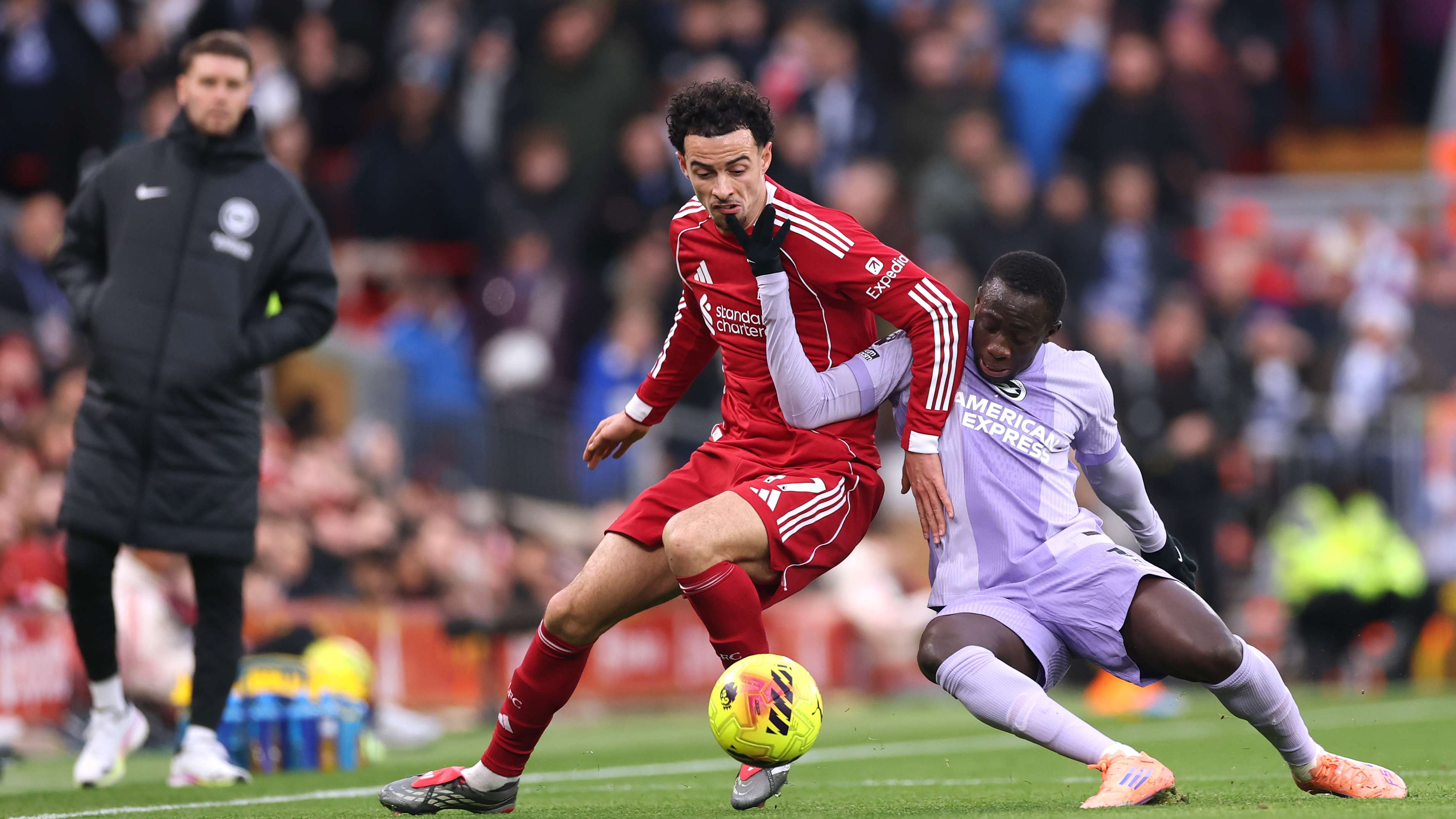 Liverpool v Brighton & Hove Albion - Premier League