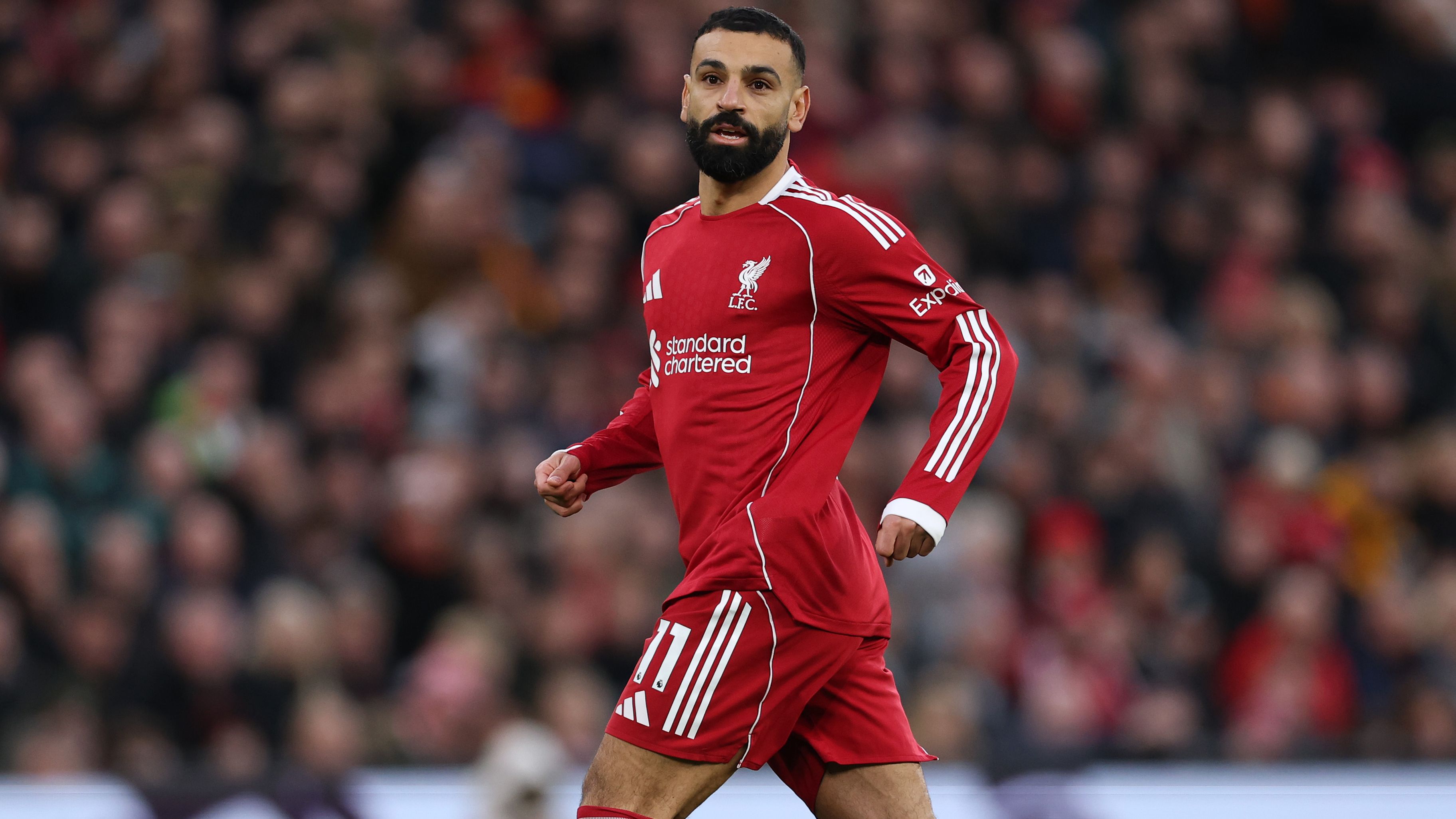 Liverpool v Brighton & Hove Albion - Premier League