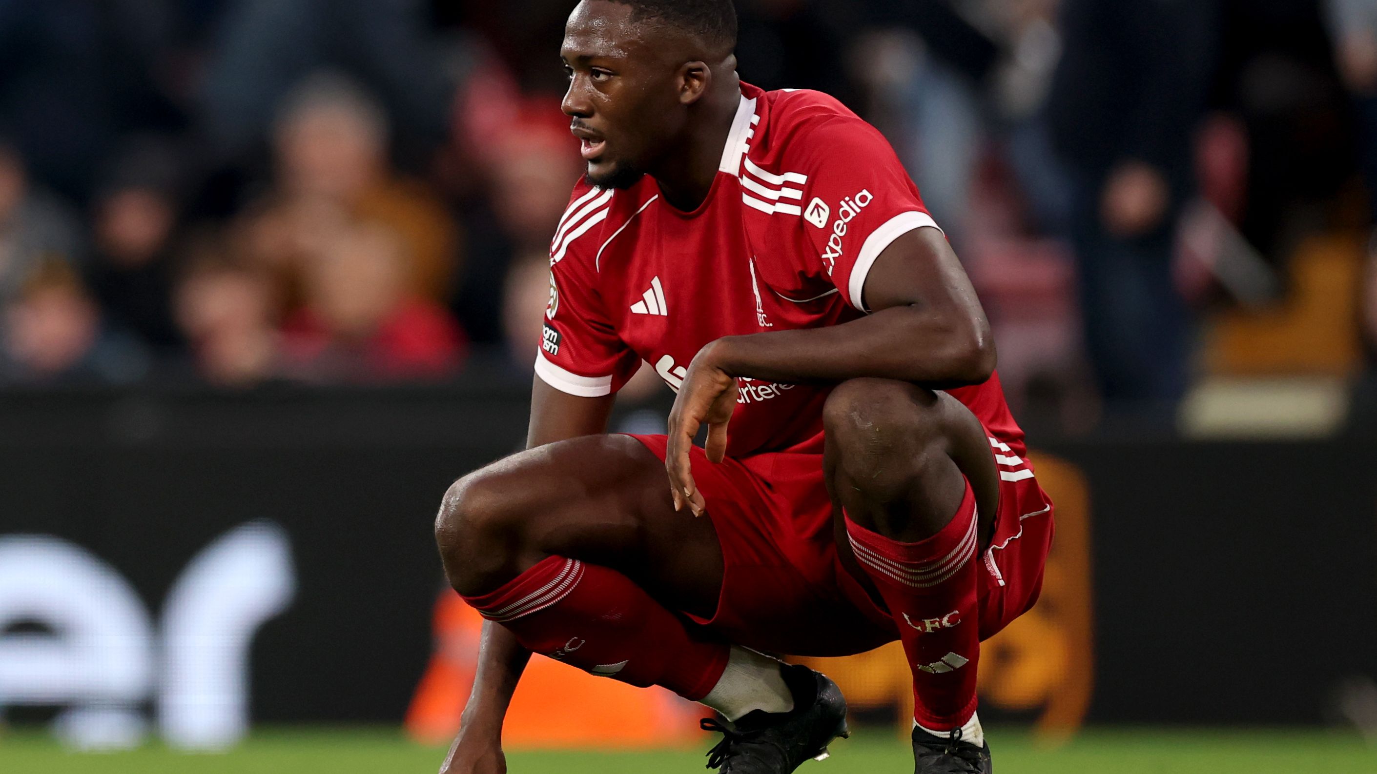 Liverpool v Brighton & Hove Albion - Premier League