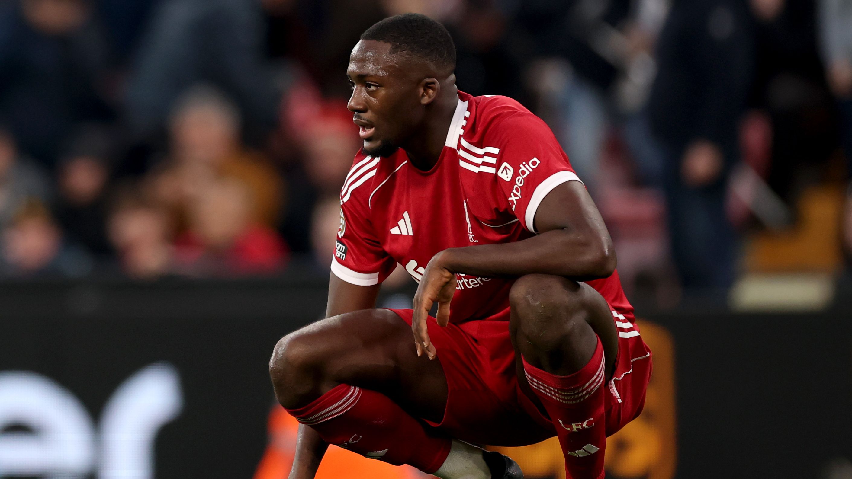 Liverpool v Brighton & Hove Albion - Premier League