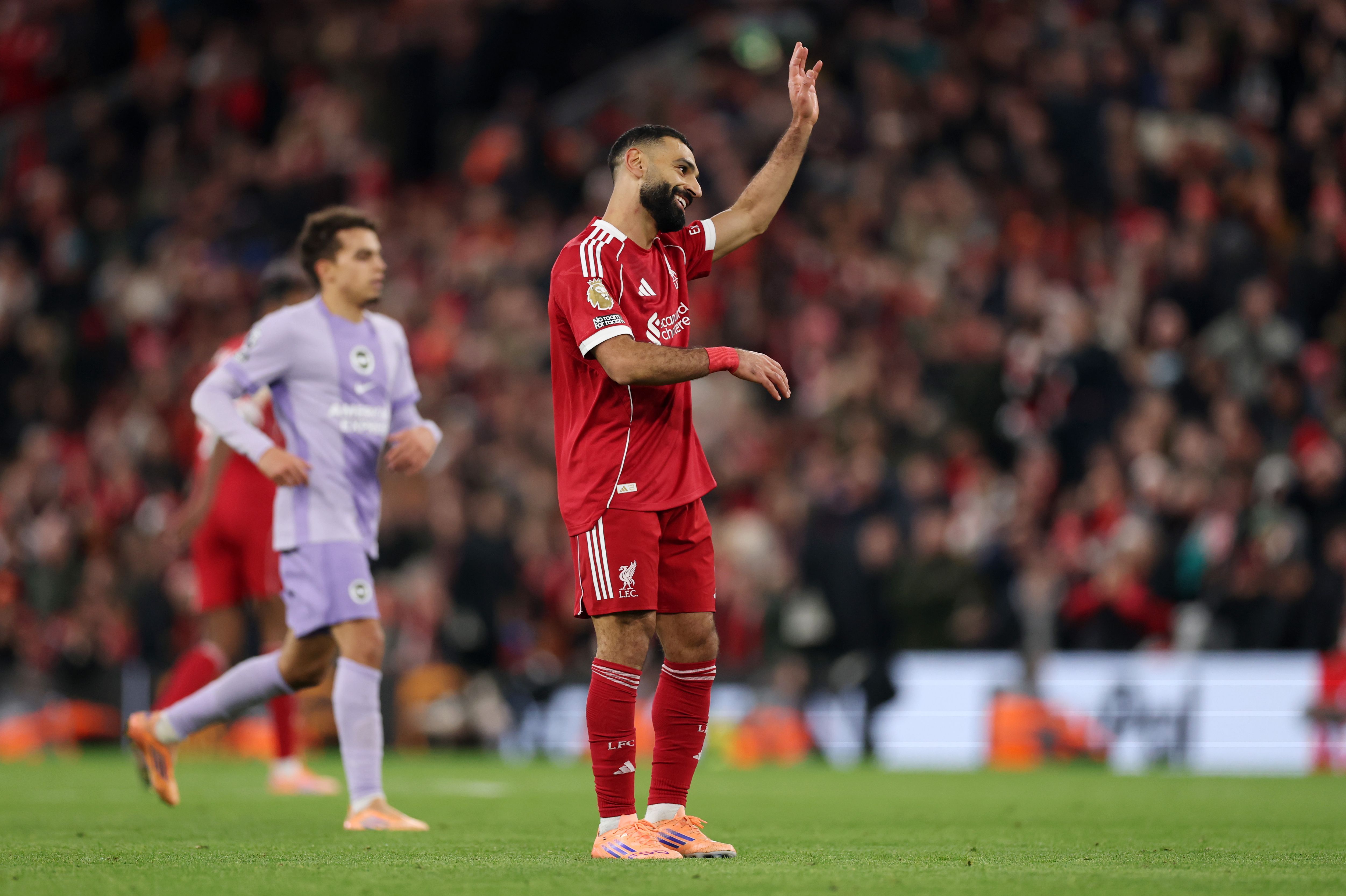 Liverpool v Brighton & Hove Albion - Premier League