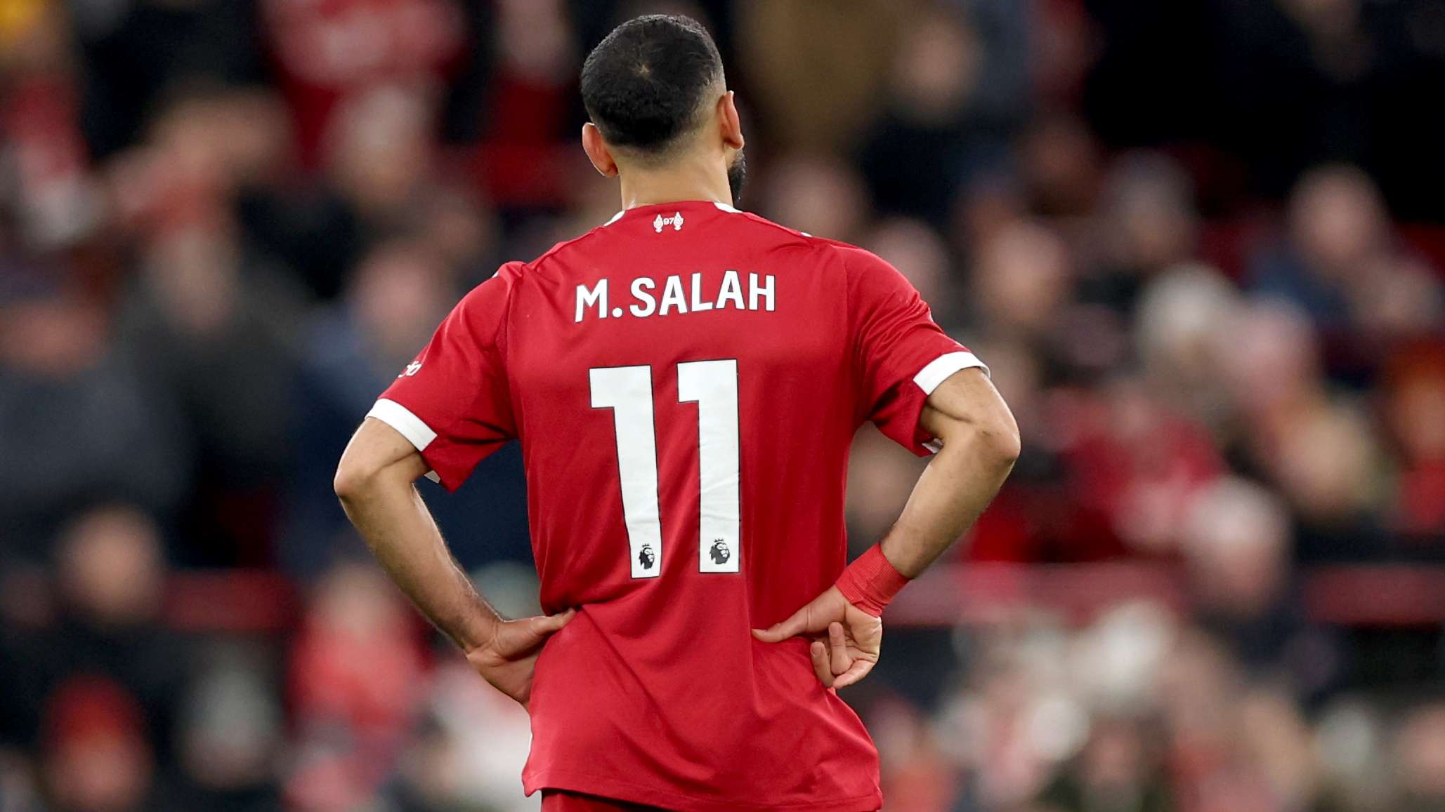 Liverpool v Brighton & Hove Albion - Premier League