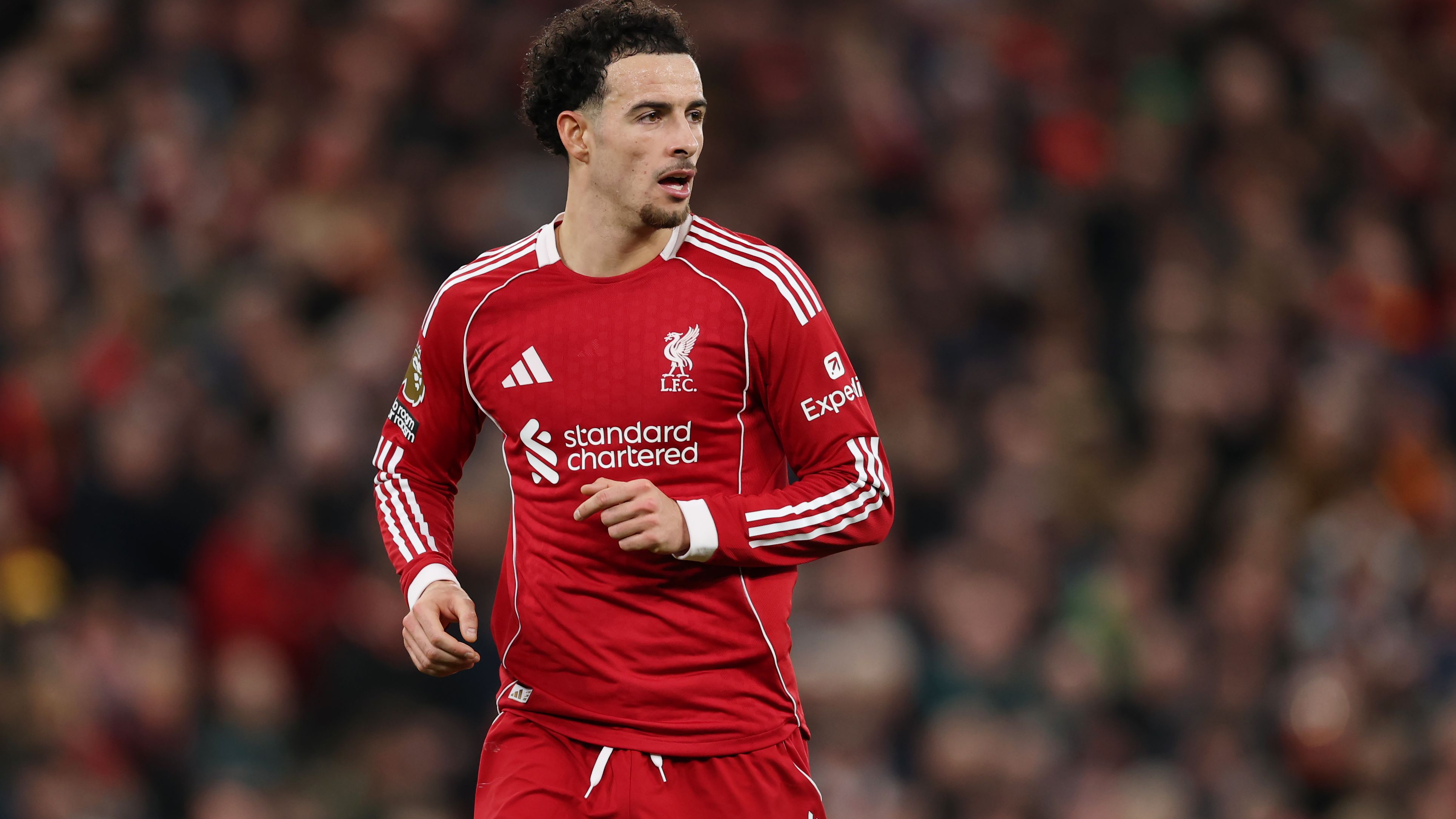 Liverpool v Brighton & Hove Albion - Premier League