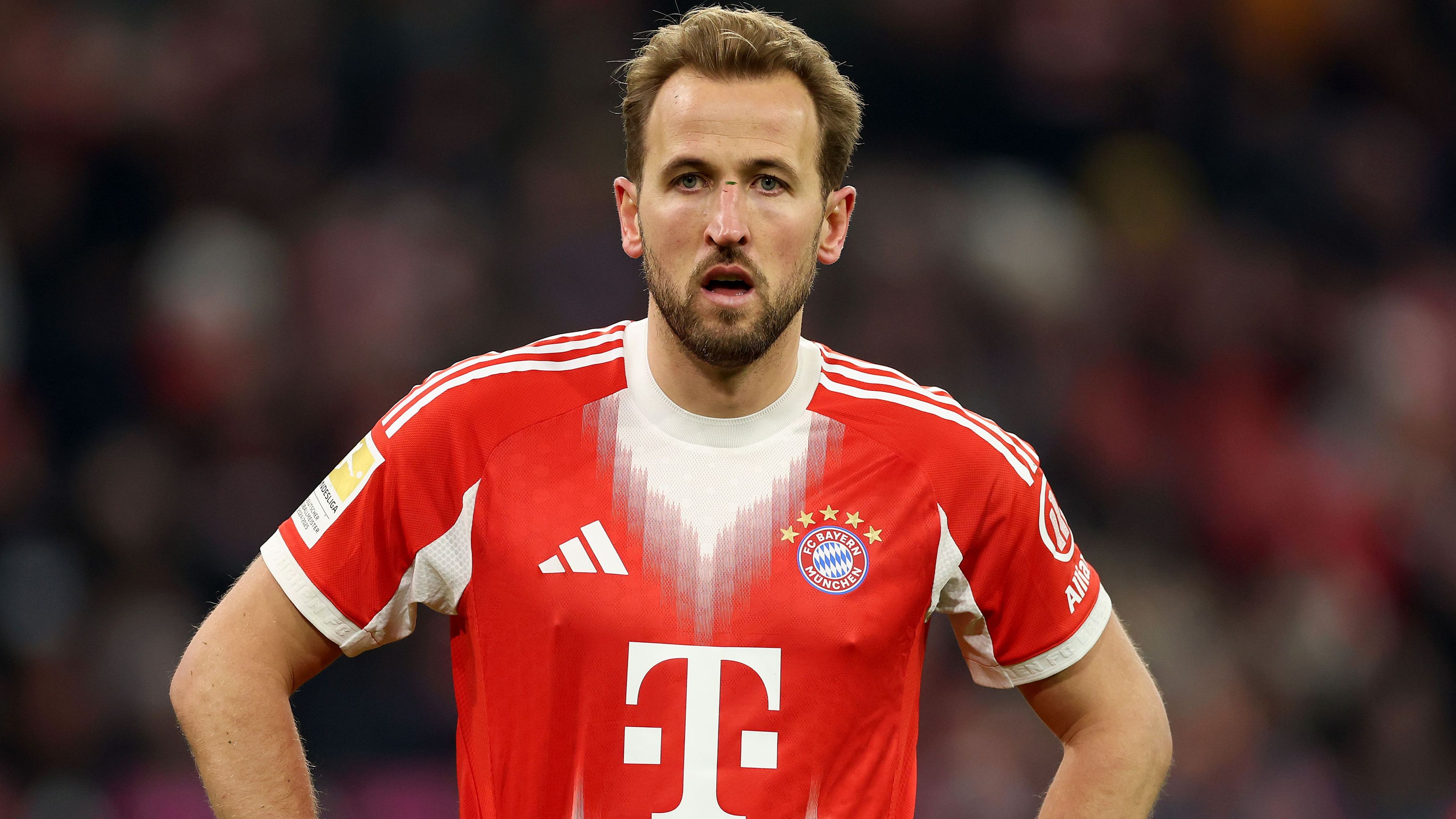 FC Bayern München v 1. FSV Mainz 05 - Bundesliga