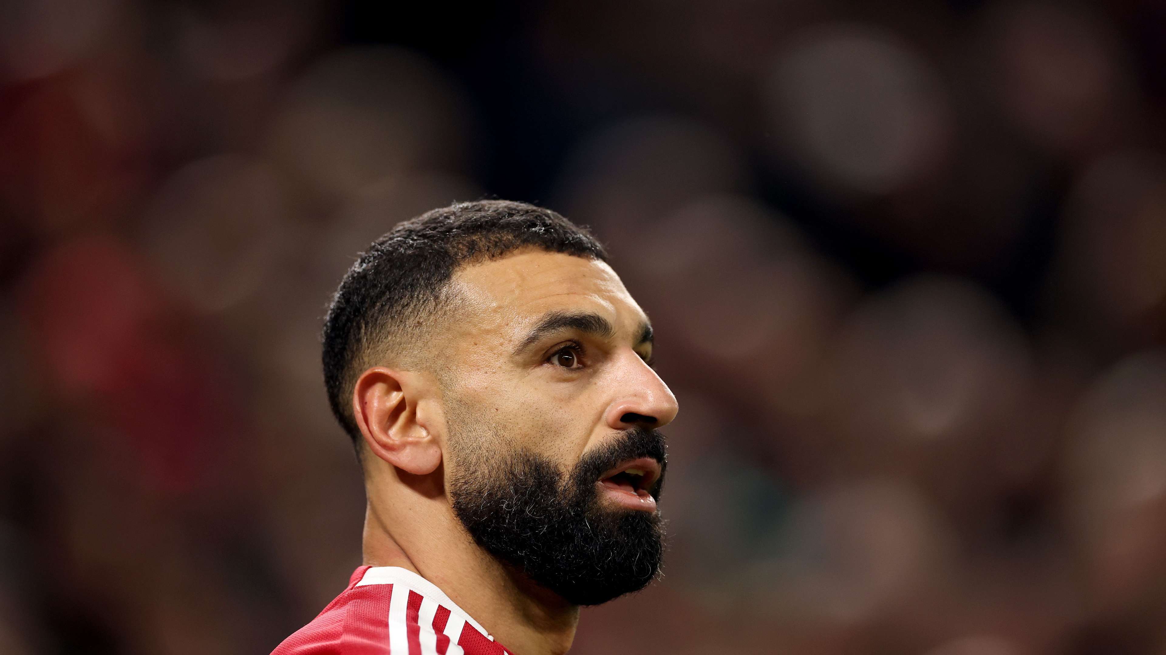 Liverpool v Brighton & Hove Albion - Premier League