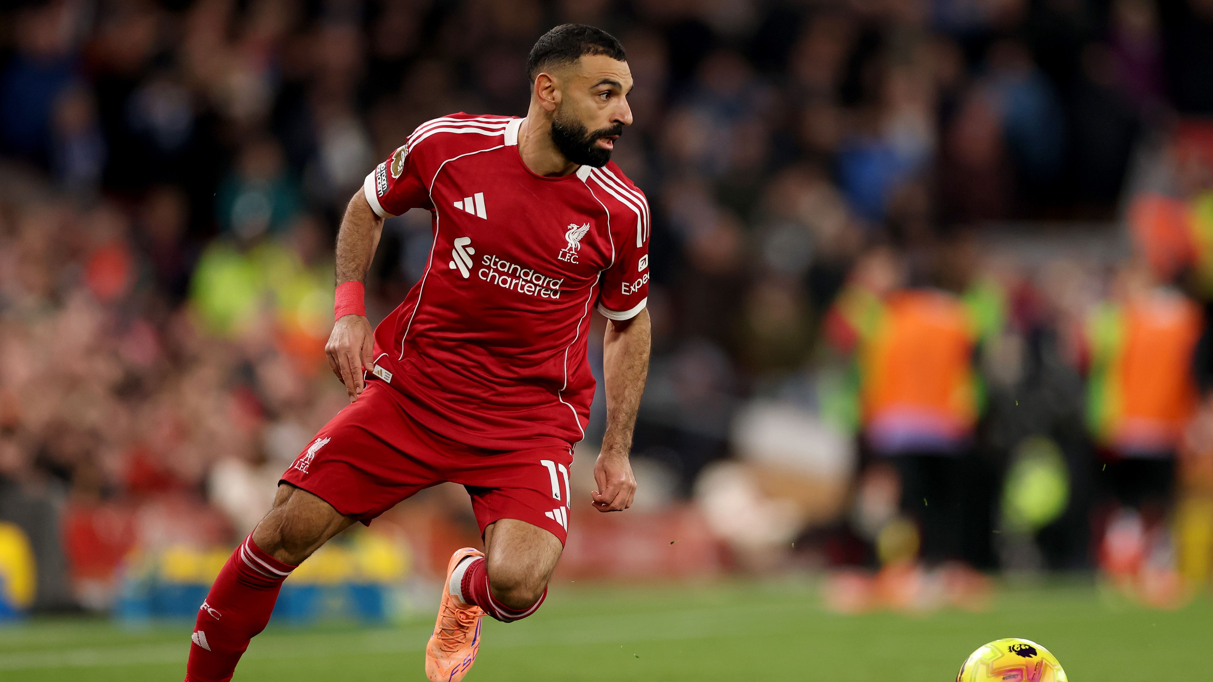 Liverpool v Brighton & Hove Albion - Premier League