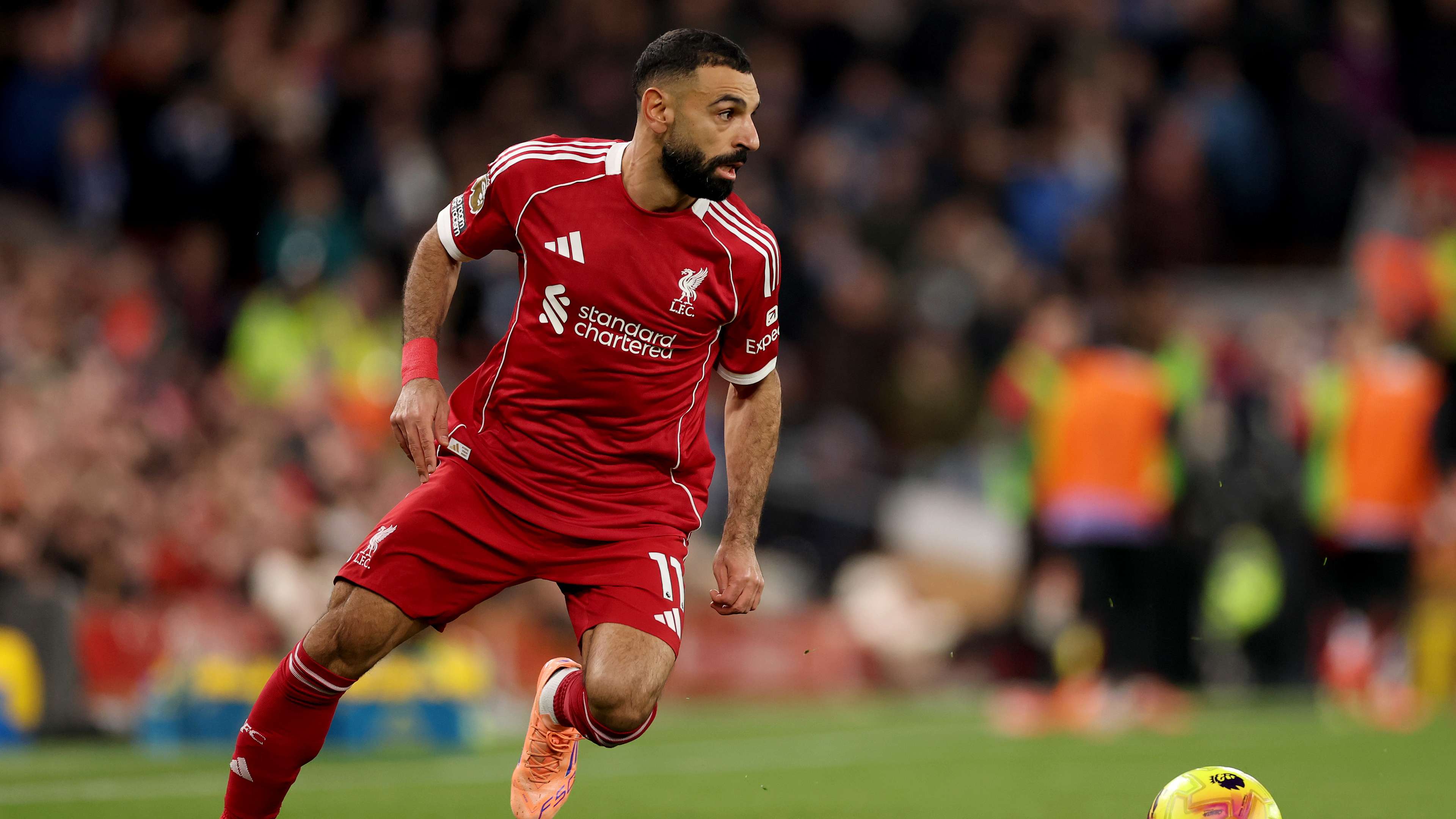 Liverpool v Brighton & Hove Albion - Premier League