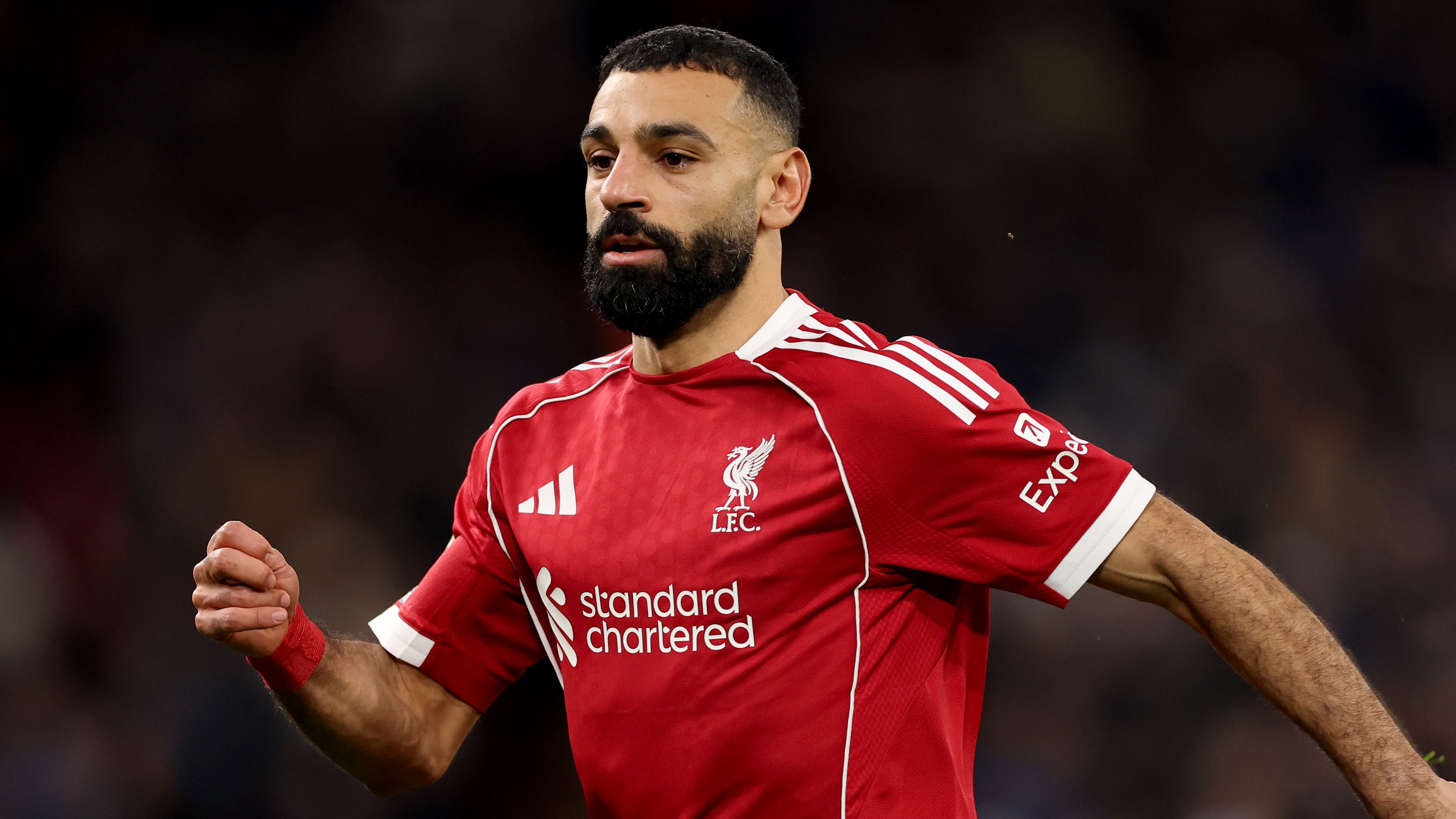 Liverpool v Brighton & Hove Albion - Premier League
