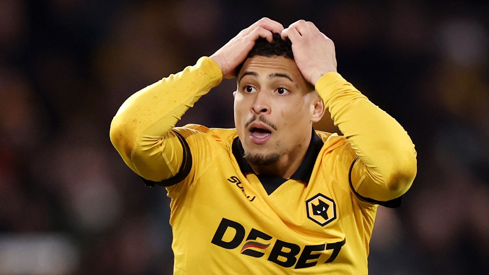 Wolverhampton Wanderers v Brentford - Premier League