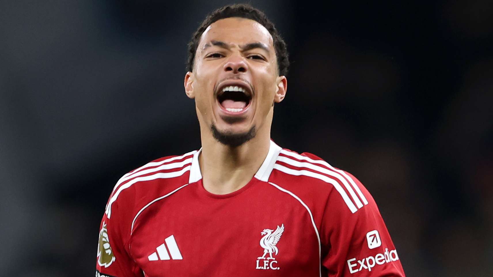 Tottenham Hotspur v Liverpool - Premier League