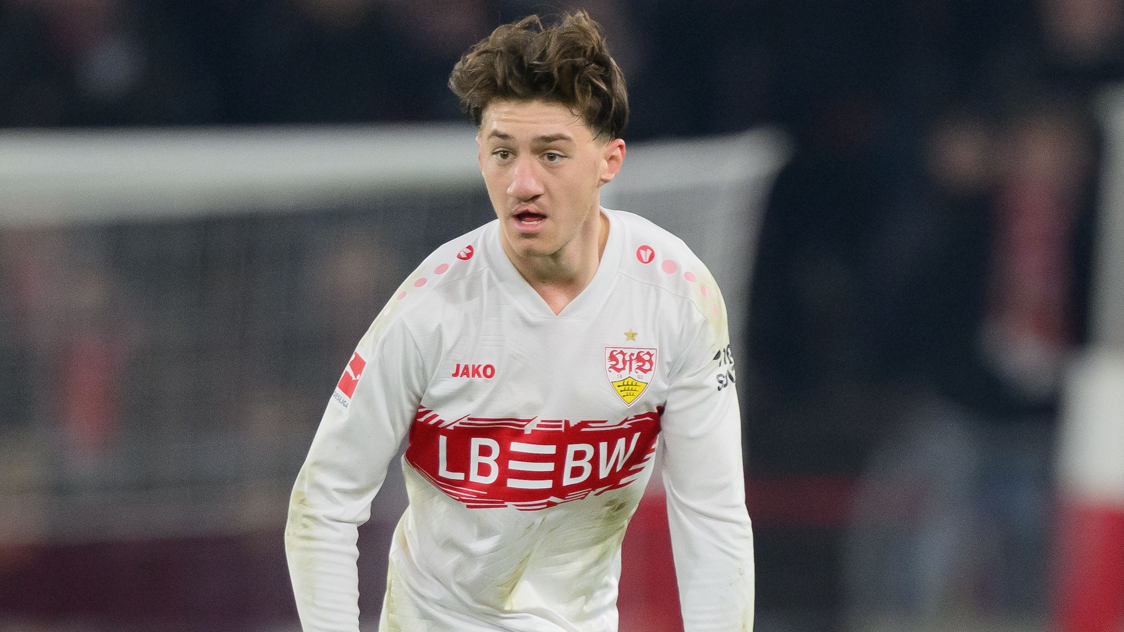 VfB Stuttgart v TSG Hoffenheim - Bundesliga