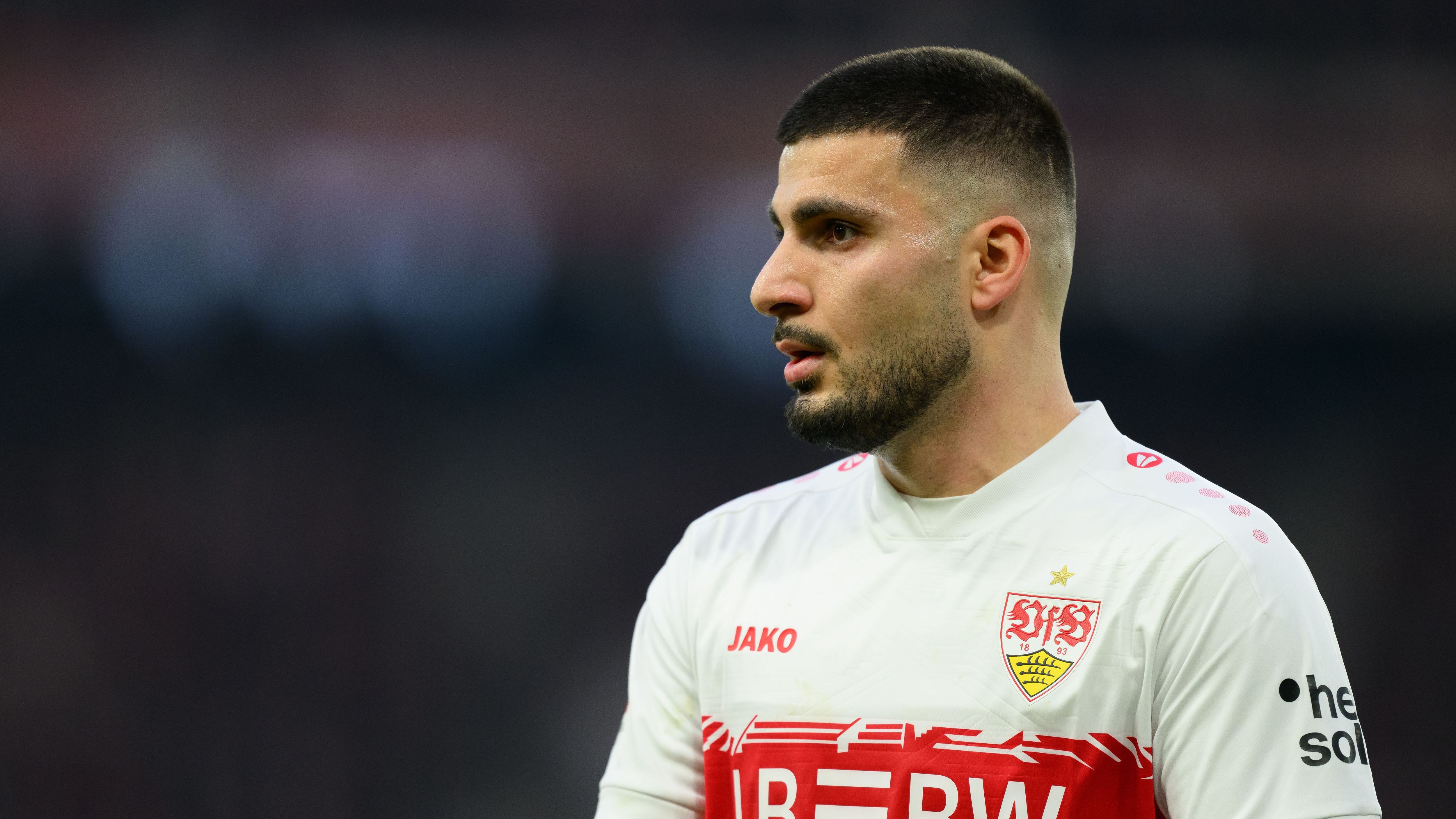 VfB Stuttgart v TSG Hoffenheim - Bundesliga