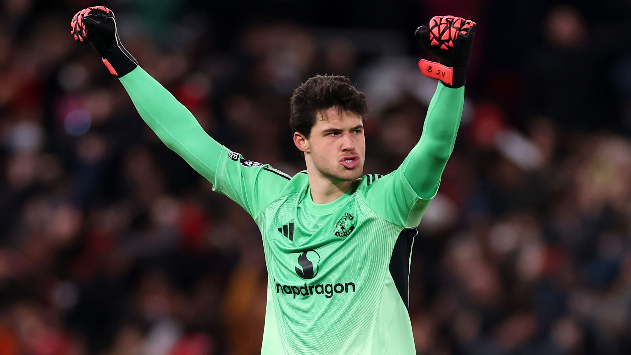 Manchester United v Newcastle United - Premier League