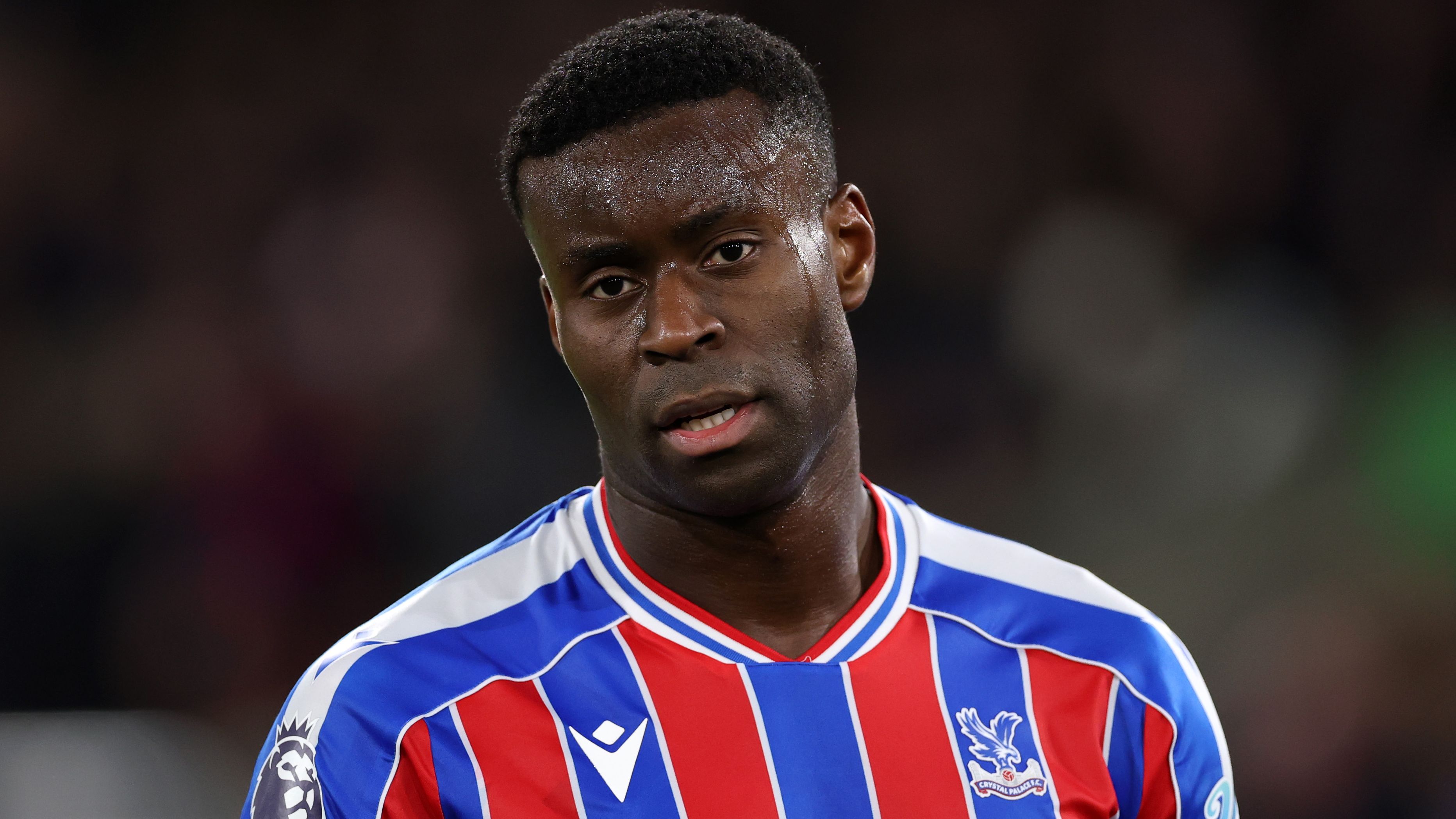 Crystal Palace v Tottenham Hotspur - Premier League