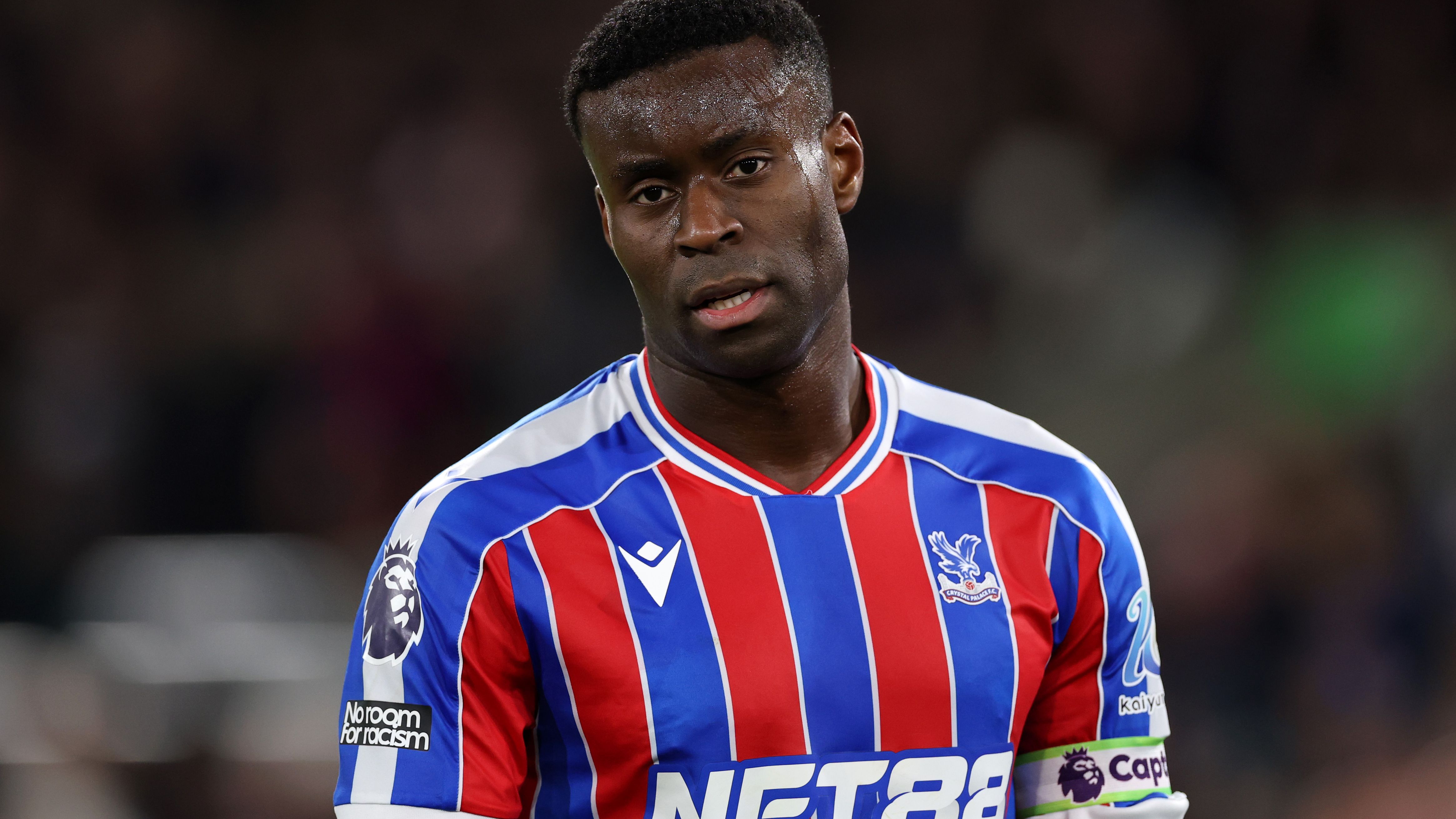 Crystal Palace v Tottenham Hotspur - Premier League